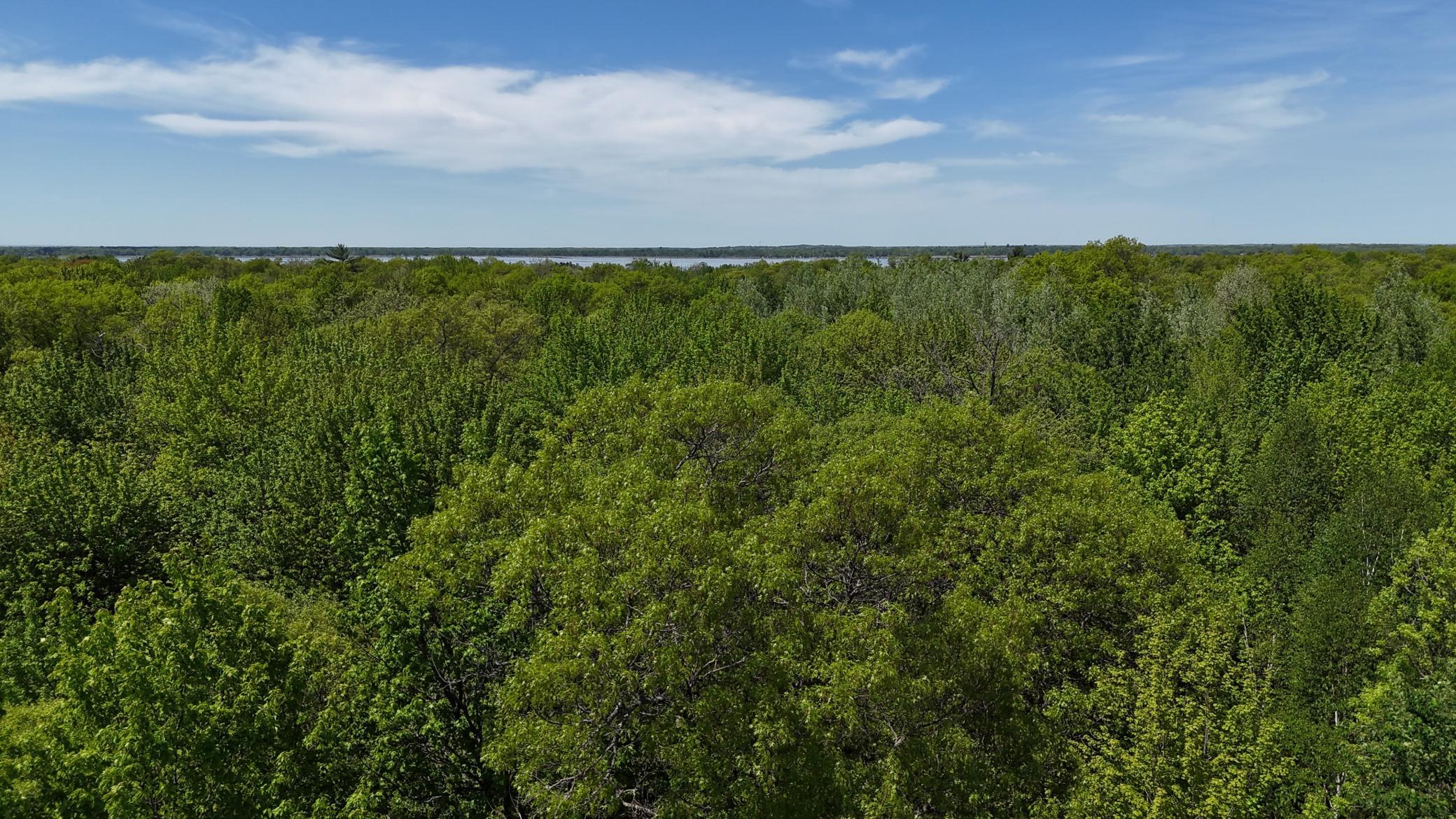 View of Residential at 12913 Dobbins Road, Merrifield MN 56465, Merrifield (64 of 64) - Mike Wilen | Minnesota Team Real Estate