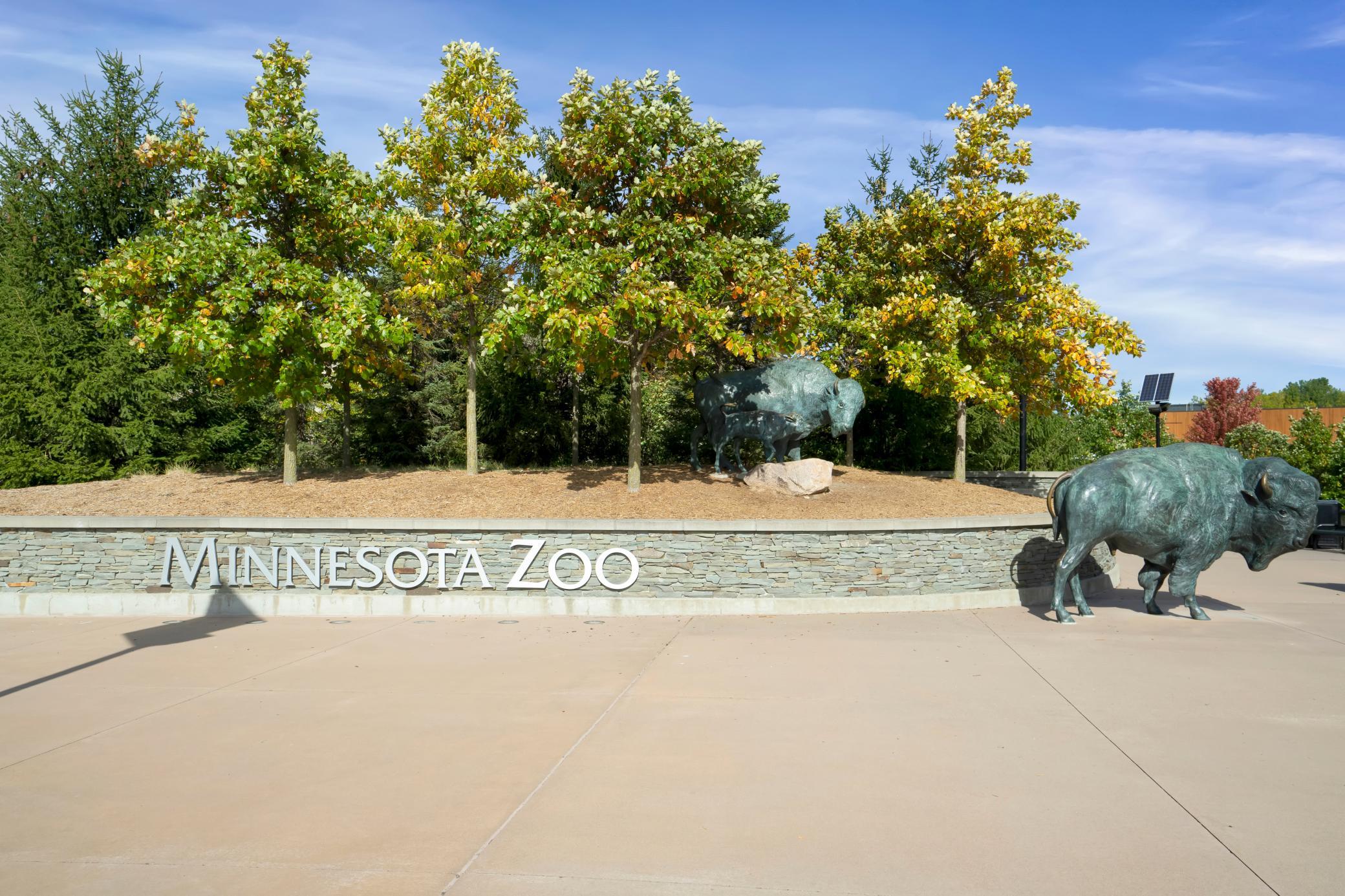 View of Residential at 14814 Artaine Trail, Rosemount MN 55068, Rosemount (18 of 18) - Mike Wilen | Minnesota Team Real Estate