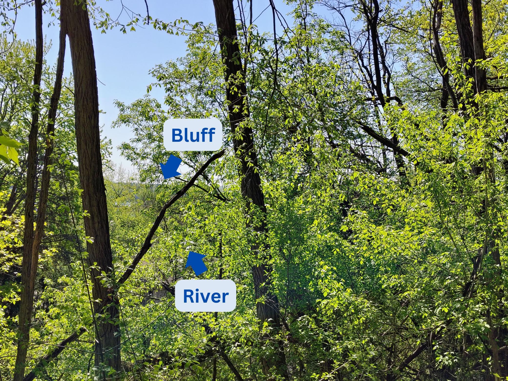 View of Land at 63X Oakwood Street, Bayport MN 55003, Bayport (5 of 20) - Mike Wilen | Minnesota Team Real Estate