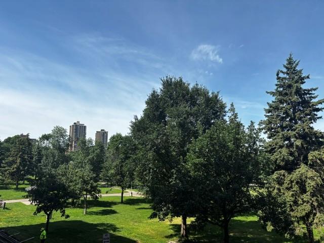 View of Residential at 210 Grant Street #210, Minneapolis MN 55403, Minneapolis (14 of 27) - Mike Wilen | Minnesota Team Real Estate