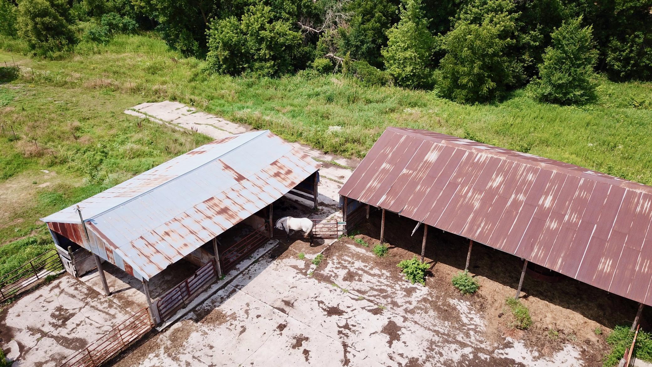 View of Farm at 46295 Acacia Trail, Stanchfield MN 55080, Stanchfield (33 of 35) - Mike Wilen | Minnesota Team Real Estate
