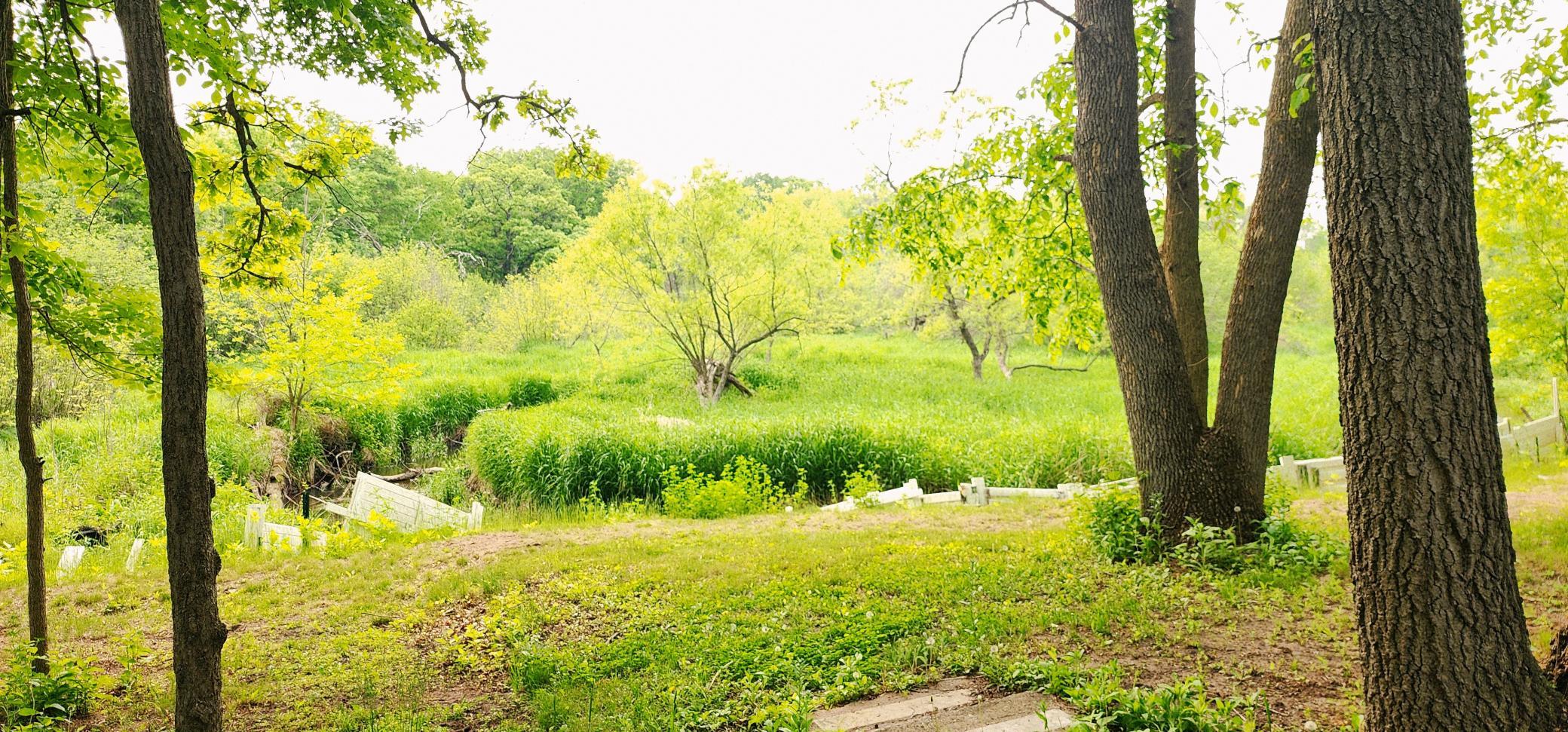 View of Residential at 28629 Potomac Street, North Branch MN 55056, North Branch (59 of 61) - Mike Wilen | Minnesota Team Real Estate