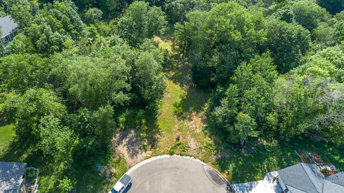 View of Land at 180 Woodland Drive, Henderson MN 56044, Henderson (2 of 10) - Mike Wilen | Minnesota Team Real Estate