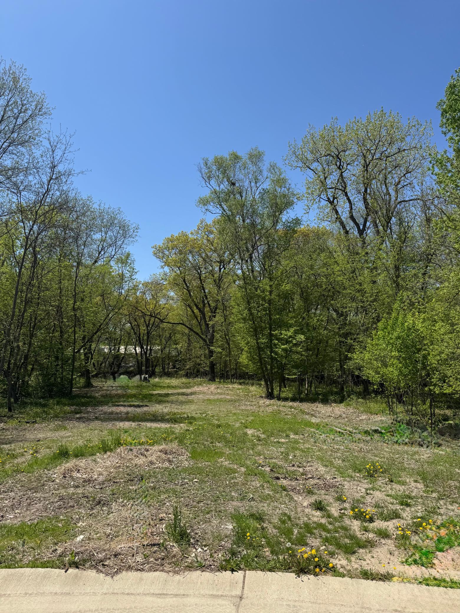 View of Land at 180 Woodland Drive, Henderson MN 56044, Henderson (3 of 10) - Mike Wilen | Minnesota Team Real Estate