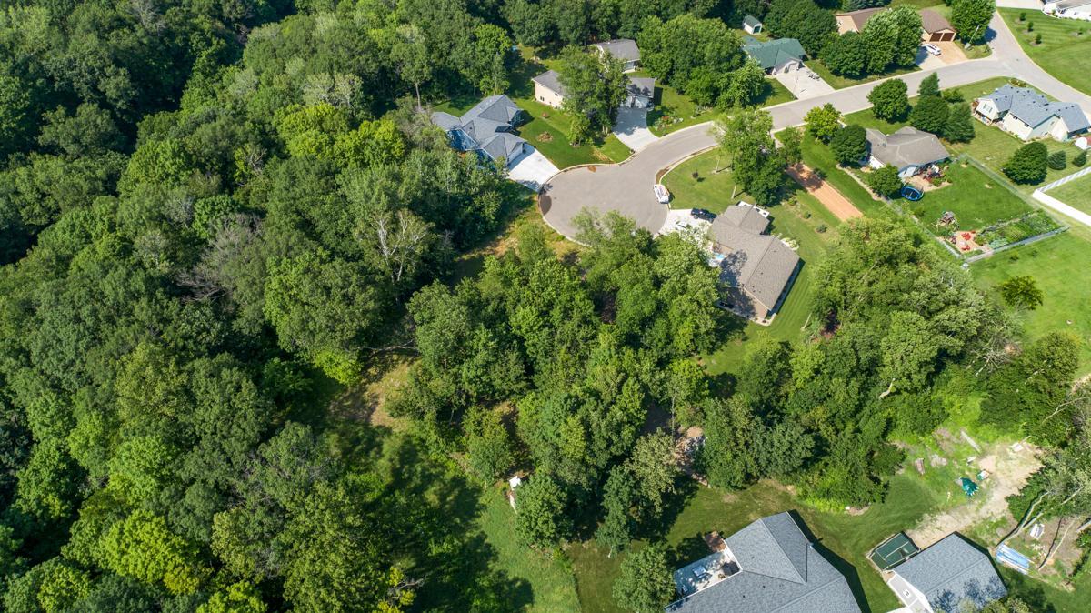 View of Land at 180 Woodland Drive, Henderson MN 56044, Henderson (6 of 10) - Mike Wilen | Minnesota Team Real Estate