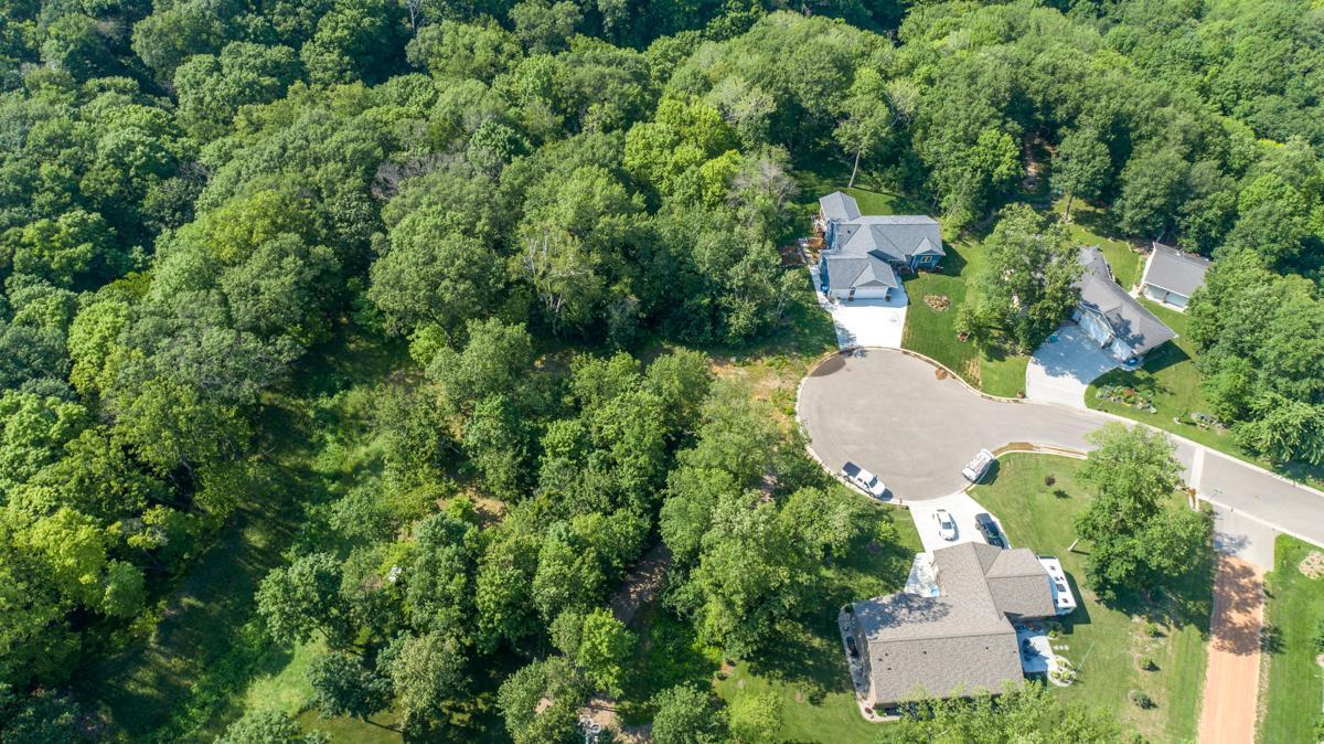 View of Land at 180 Woodland Drive, Henderson MN 56044, Henderson (7 of 10) - Mike Wilen | Minnesota Team Real Estate