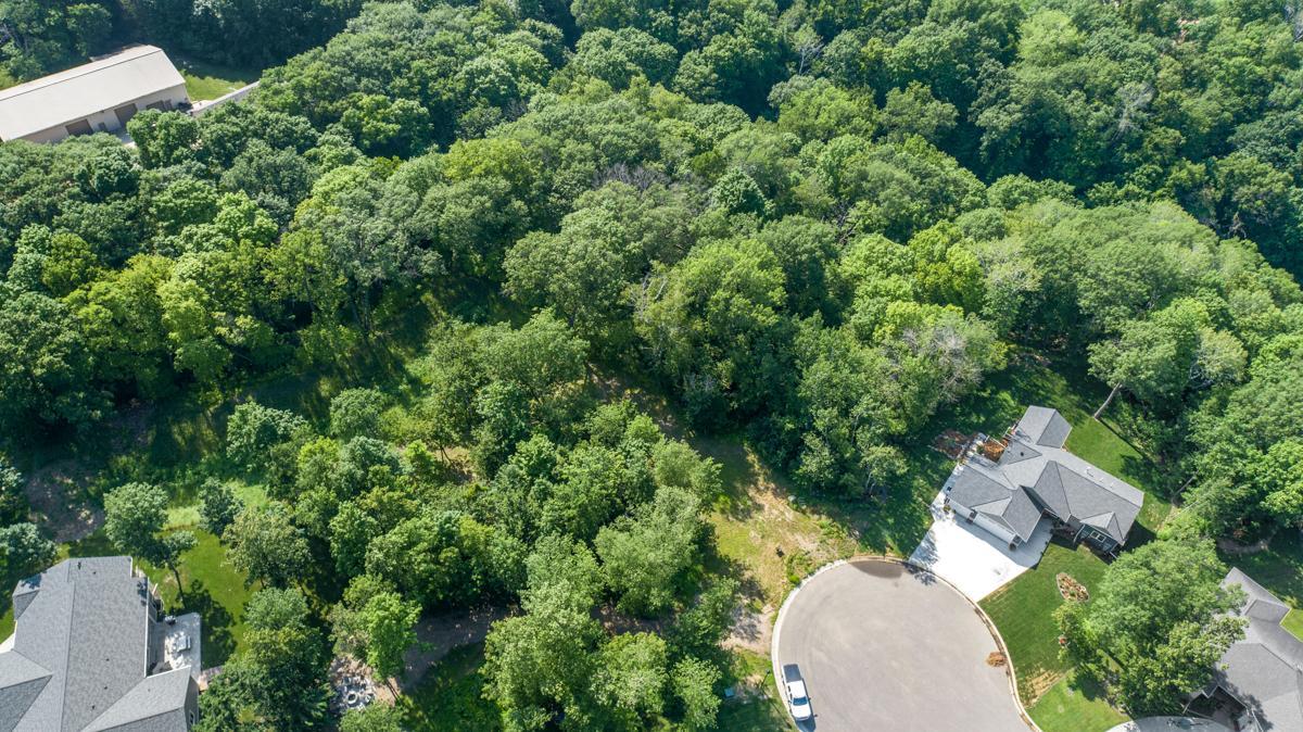 View of Land at 180 Woodland Drive, Henderson MN 56044, Henderson (8 of 10) - Mike Wilen | Minnesota Team Real Estate