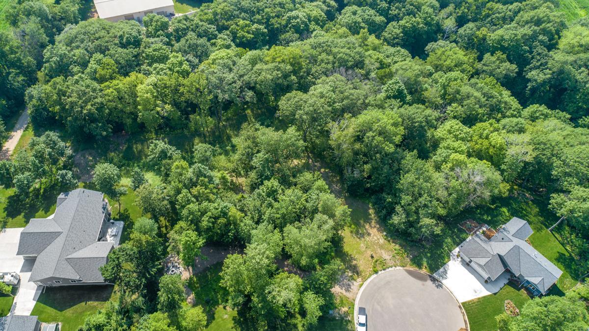 View of Land at 180 Woodland Drive, Henderson MN 56044, Henderson (9 of 10) - Mike Wilen | Minnesota Team Real Estate