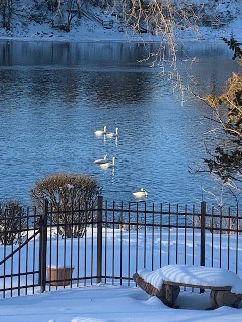 View of Residential at 1128 Benton Street, Anoka MN 55303, Anoka (49 of 54) - Mike Wilen | Minnesota Team Real Estate