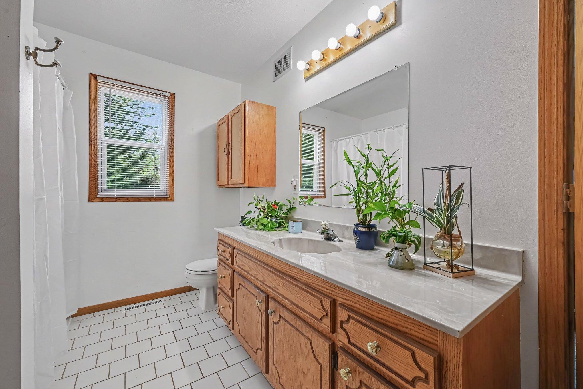 View of Residential at 932 Hillside Avenue, New Prague MN 56071, New Prague (16 of 29) - Mike Wilen | Minnesota Team Real Estate