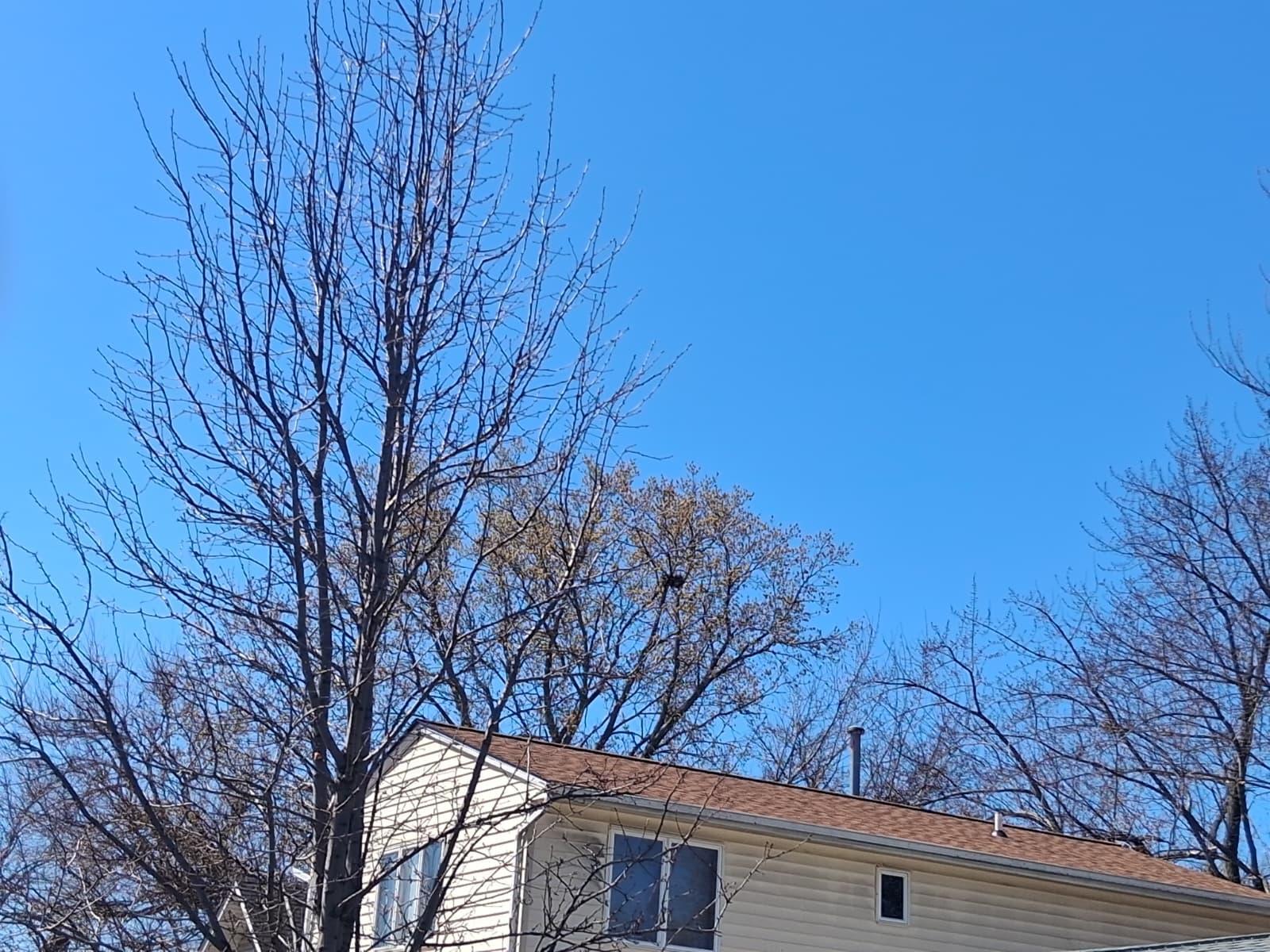 View of Residential at 4245 Welcome Avenue, Crystal MN 55422, Crystal - Mike Wilen | Minnesota Team Real Estate