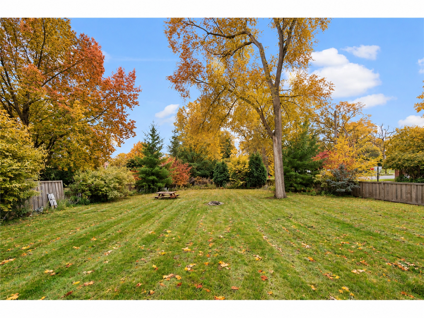 View of Residential at 2943 Xenwood Avenue, Saint Louis Park MN 55416, Saint Louis Park (56 of 63) - Mike Wilen | Minnesota Team Real Estate