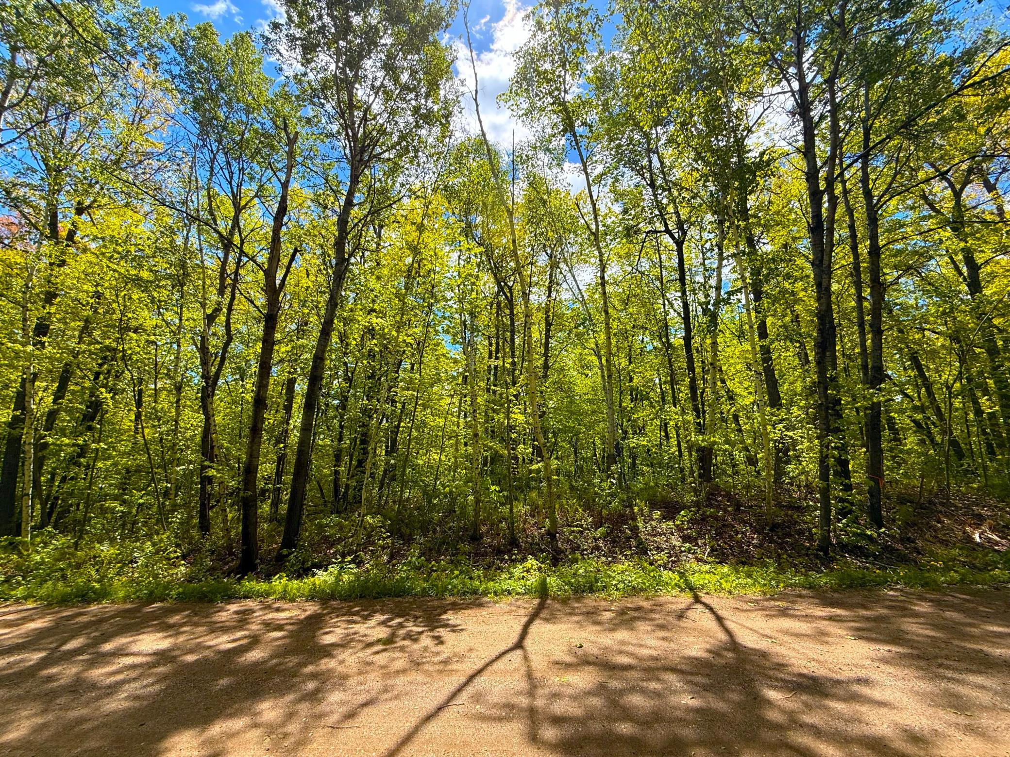 View of Land at 0 469th st, Garrison MN 56450, Garrison (9 of 10) - Mike Wilen | Minnesota Team Real Estate