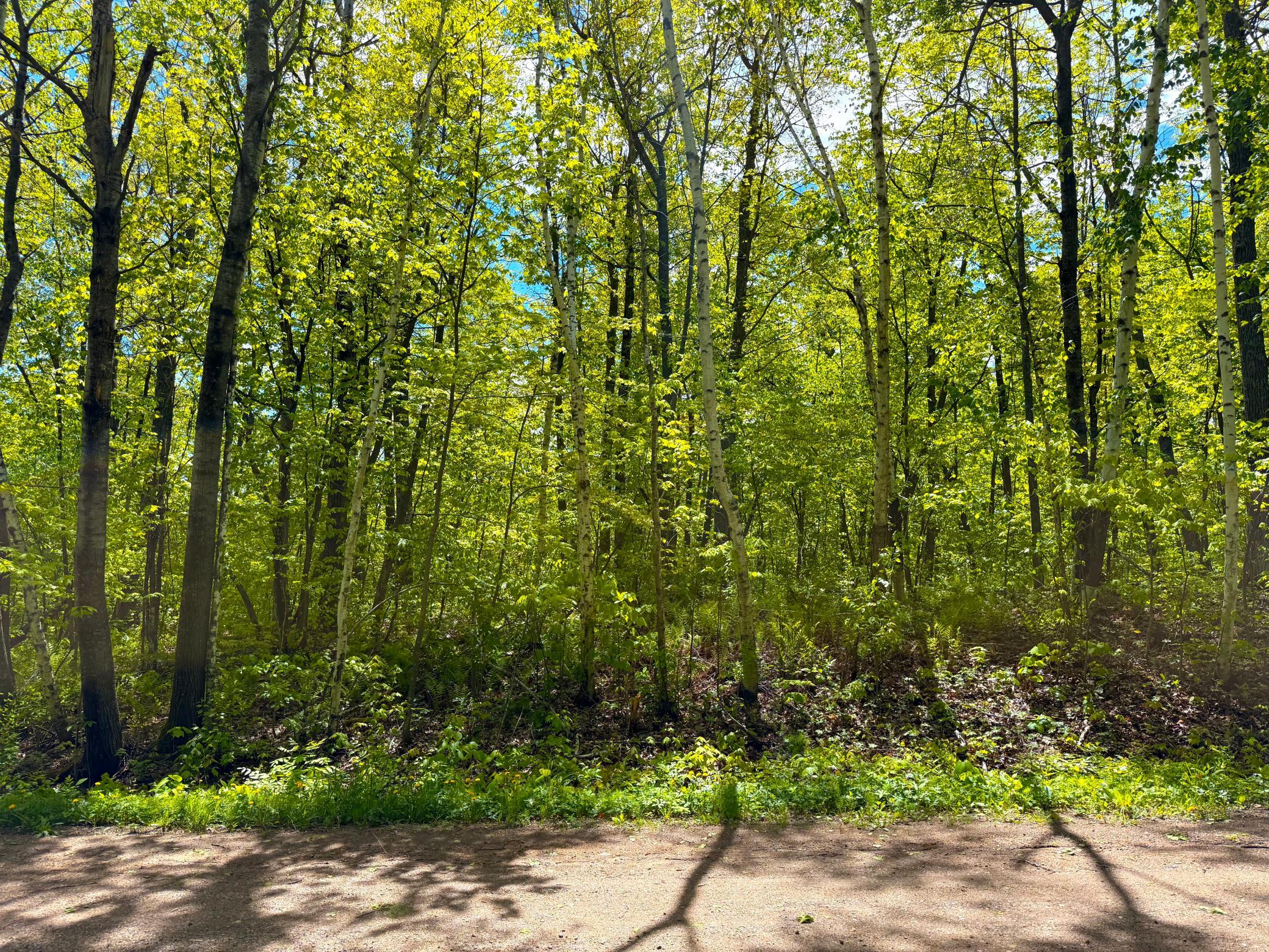 View of Land at 0 469th st, Garrison MN 56450, Garrison (5 of 10) - Mike Wilen | Minnesota Team Real Estate