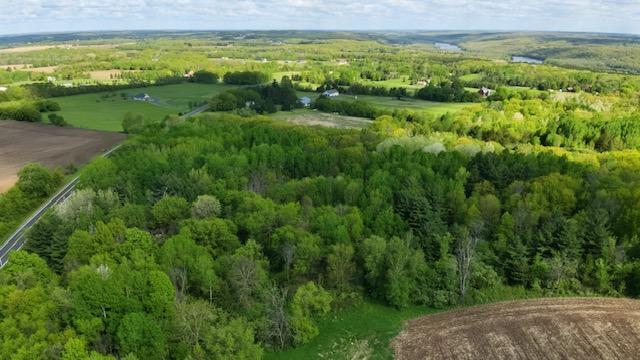 View of Land at xxx Vista Road, Taylors Falls MN 55084, Taylors Falls (5 of 8) - Mike Wilen | Minnesota Team Real Estate