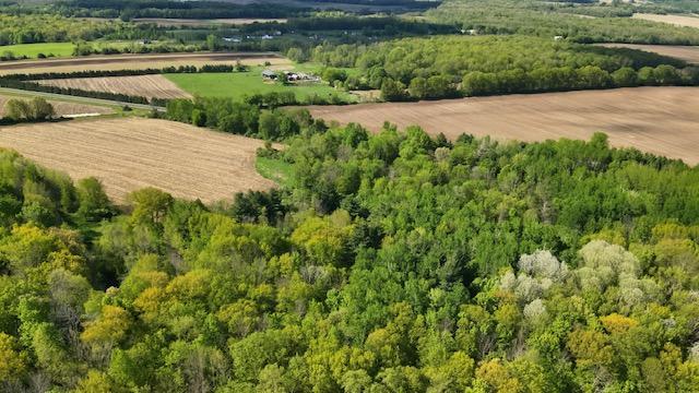 View of Land at xxx Vista Road, Taylors Falls MN 55084, Taylors Falls (8 of 8) - Mike Wilen | Minnesota Team Real Estate