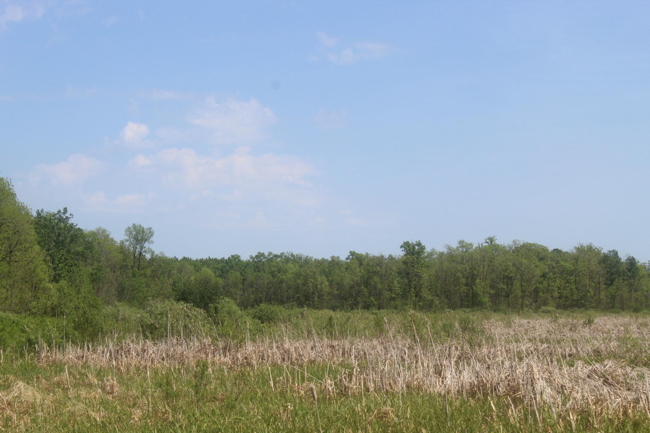 View of Land at 22748 160th Avenue, Milaca MN 56353, Milaca (13 of 17) - Mike Wilen | Minnesota Team Real Estate