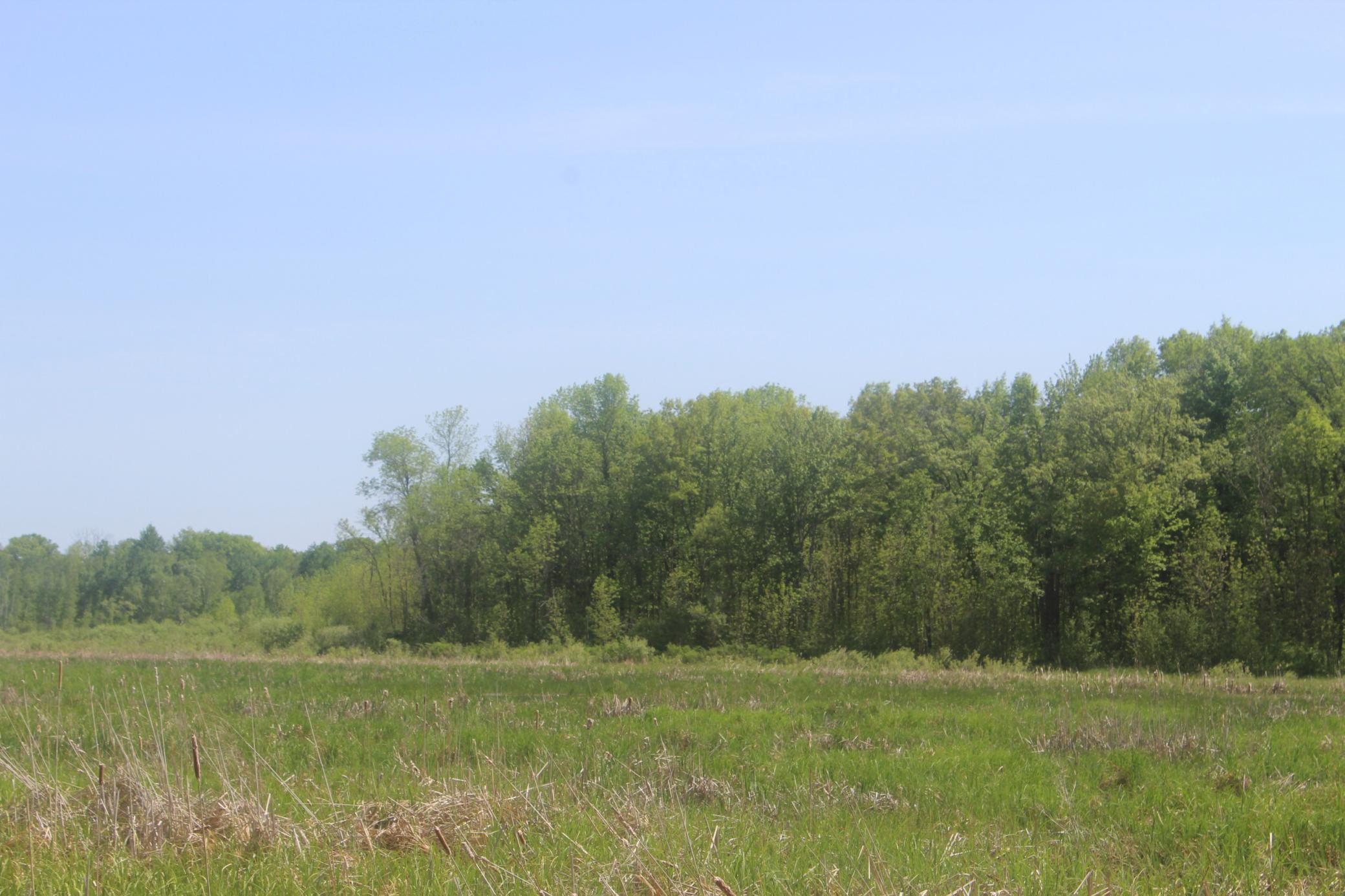 View of Land at 22748 160th Avenue, Milaca MN 56353, Milaca (11 of 17) - Mike Wilen | Minnesota Team Real Estate
