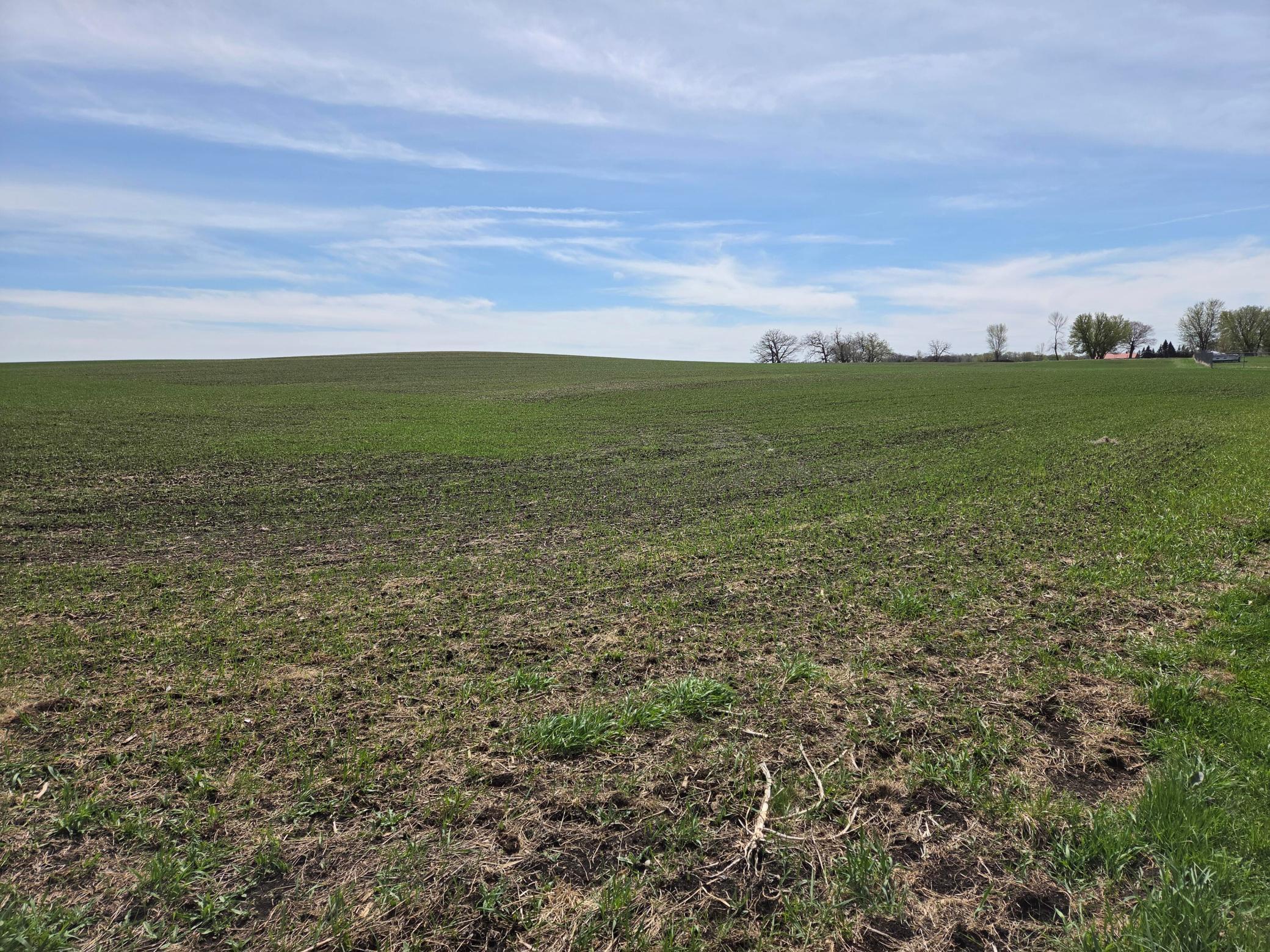 View of Commercial Sale at 5545 County Road 33, New Germany MN 55367, New Germany (4 of 24) - Mike Wilen | Minnesota Team Real Estate
