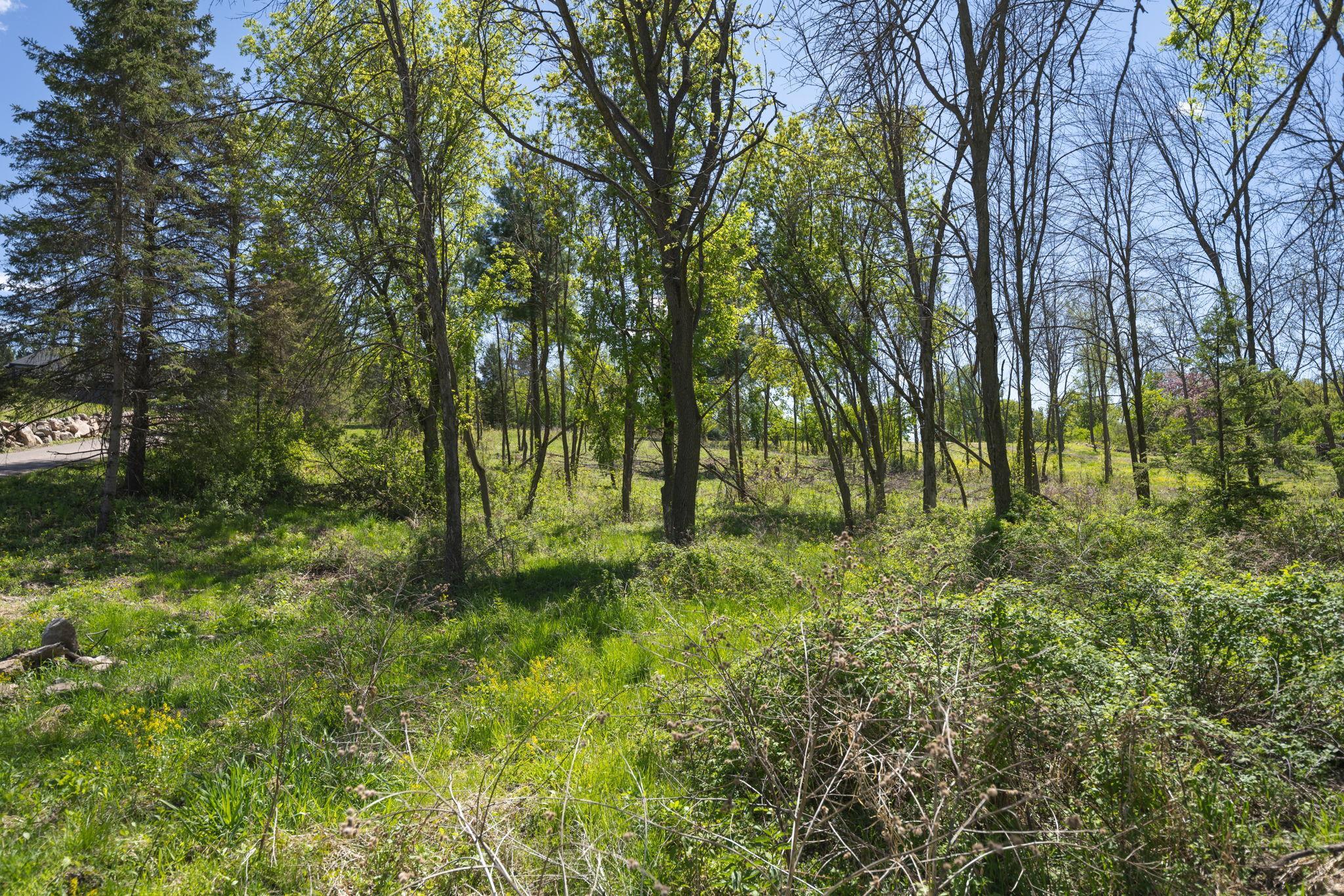 View of Land at 14659 30th Street, Stillwater MN 55082, Stillwater (9 of 28) - Mike Wilen | Minnesota Team Real Estate