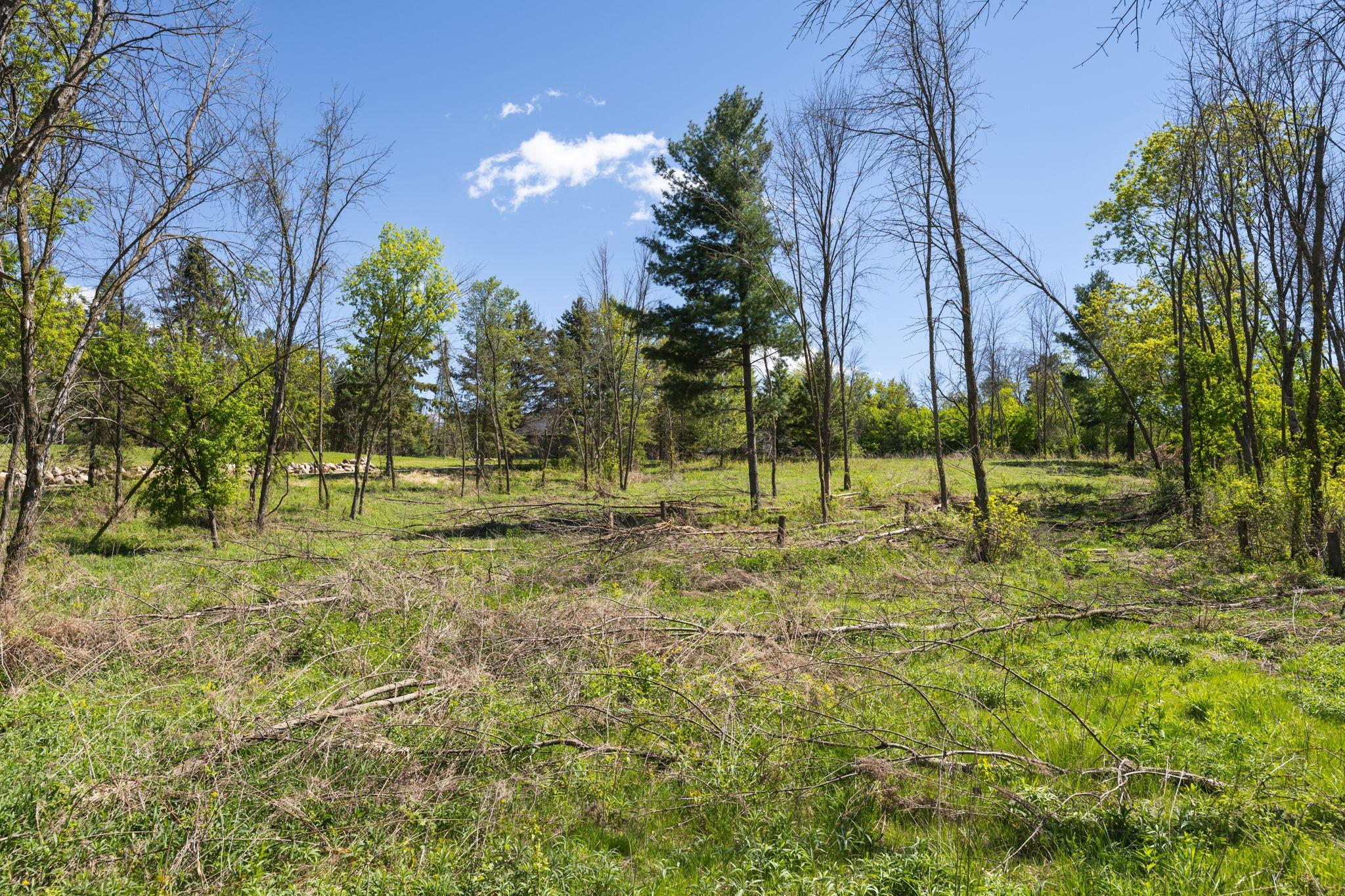 View of Land at 14659 30th Street, Stillwater MN 55082, Stillwater (7 of 28) - Mike Wilen | Minnesota Team Real Estate