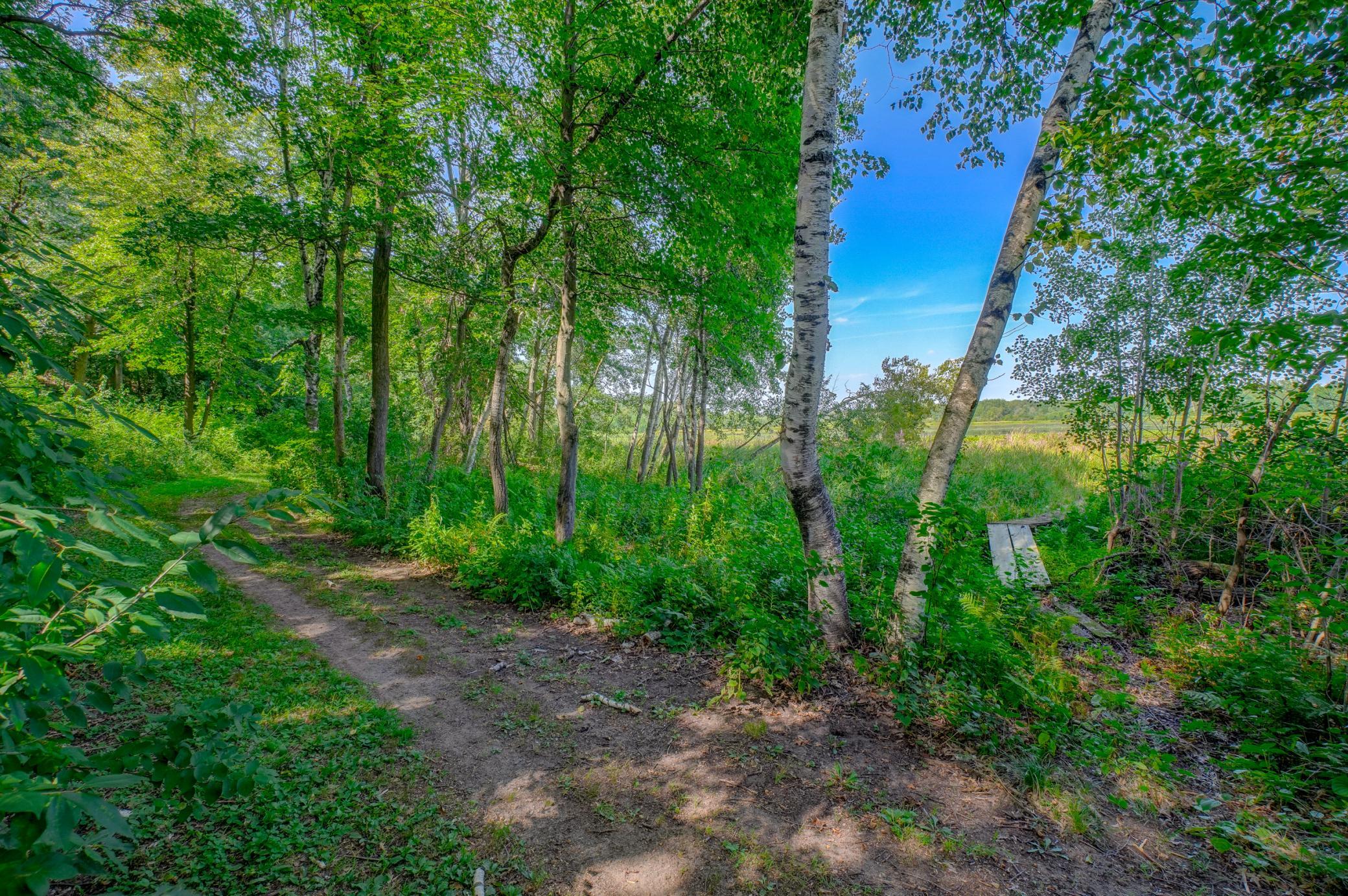 View of Residential at 5 Crocus Lane, North Oaks MN 55127, North Oaks (46 of 48) - Mike Wilen | Minnesota Team Real Estate