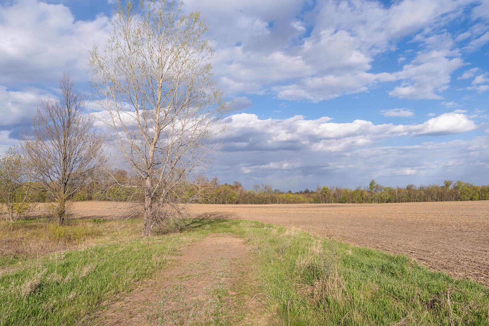 View of Land at Parcel A - 20AC 465th Street, Sunrise Twp MN 55032, Sunrise Twp (14 of 38) - Mike Wilen | Minnesota Team Real Estate