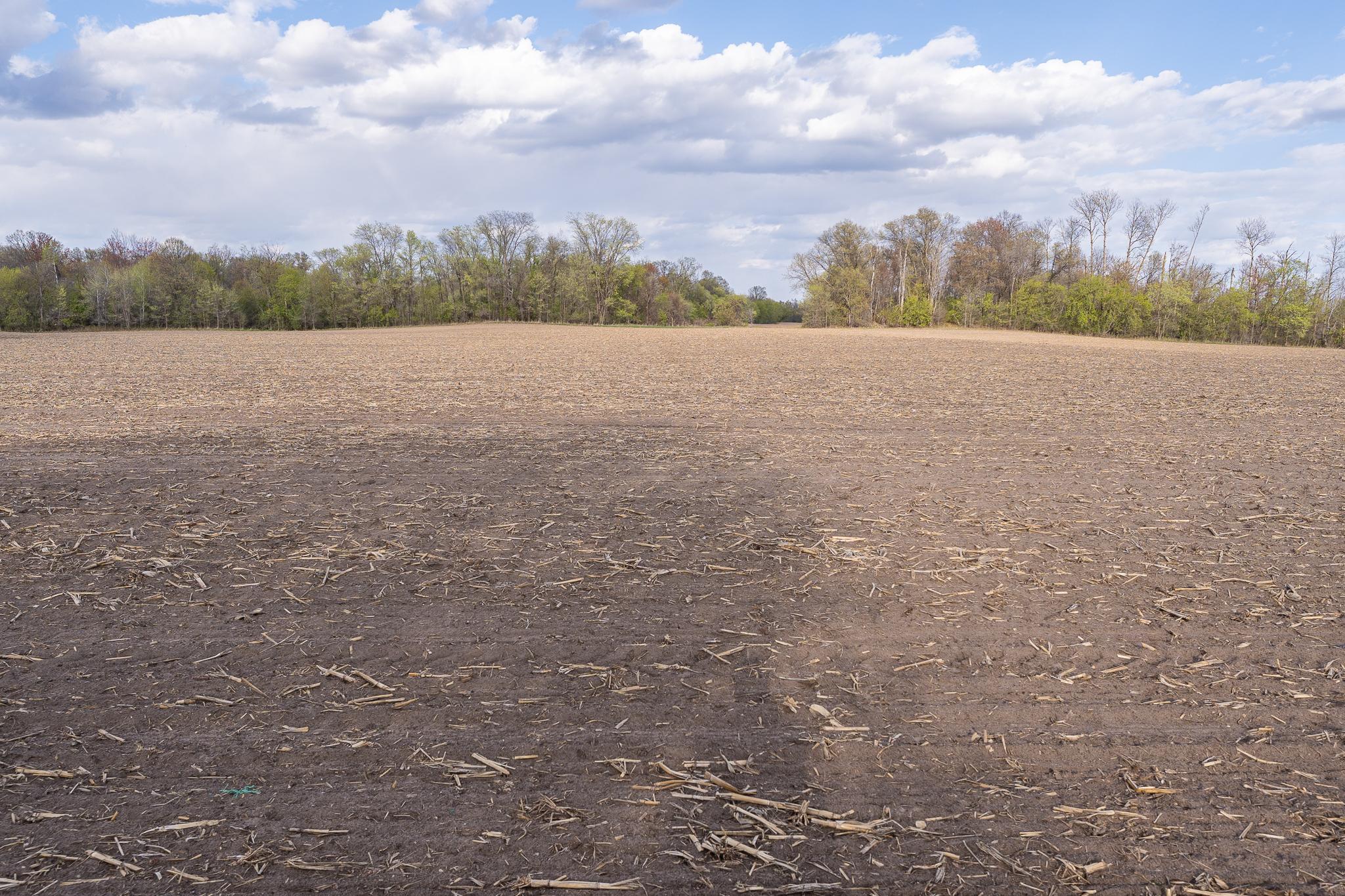 View of Land at Parcel A - 20AC 465th Street, Sunrise Twp MN 55032, Sunrise Twp (38 of 38) - Mike Wilen | Minnesota Team Real Estate