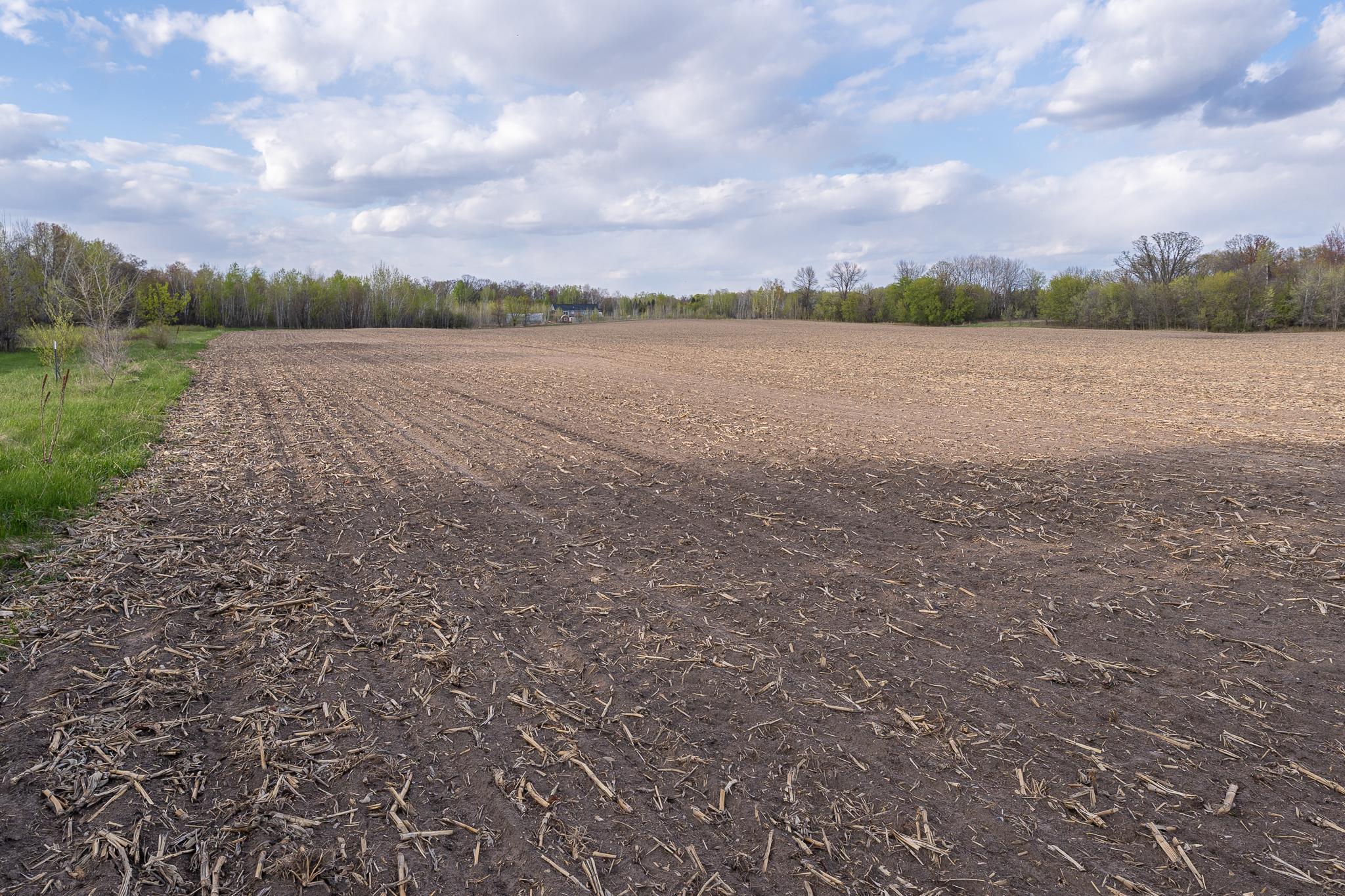 View of Land at Parcel A - 20AC 465th Street, Sunrise Twp MN 55032, Sunrise Twp (37 of 38) - Mike Wilen | Minnesota Team Real Estate