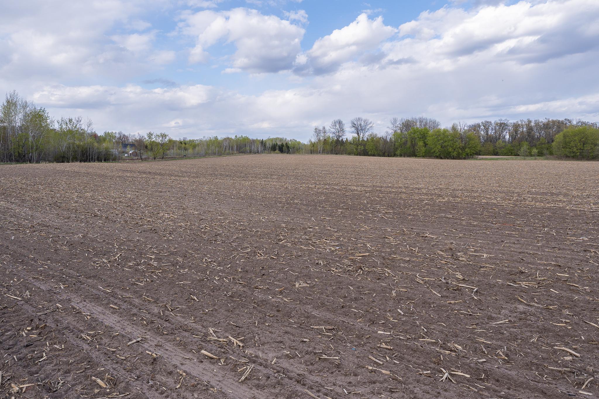 View of Land at Parcel A - 20AC 465th Street, Sunrise Twp MN 55032, Sunrise Twp (22 of 38) - Mike Wilen | Minnesota Team Real Estate