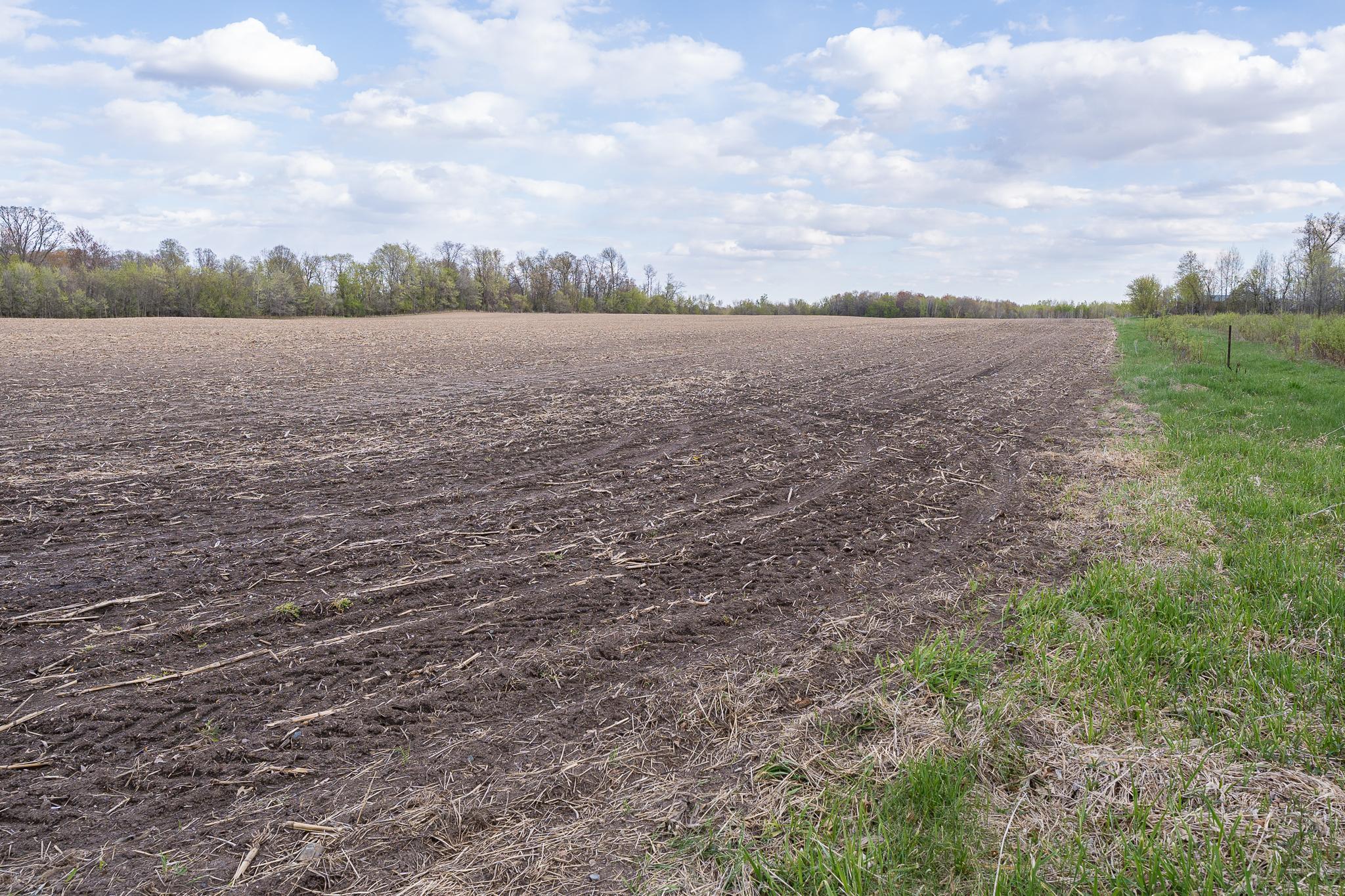 View of Land at Parcel A - 20AC 465th Street, Sunrise Twp MN 55032, Sunrise Twp (35 of 38) - Mike Wilen | Minnesota Team Real Estate