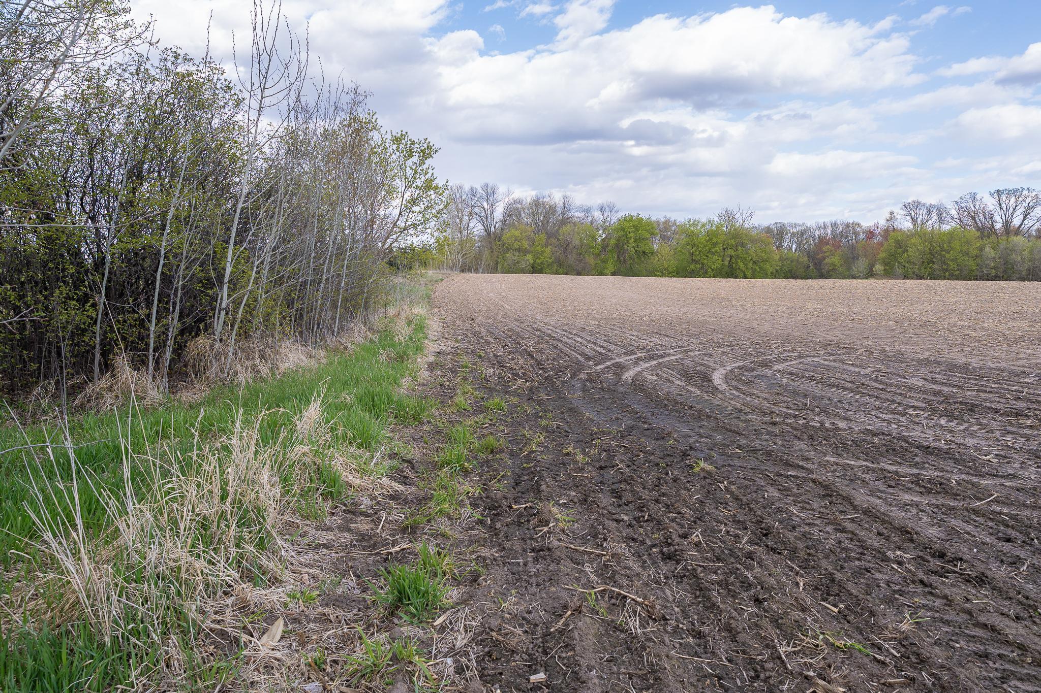 View of Land at Parcel A - 20AC 465th Street, Sunrise Twp MN 55032, Sunrise Twp - Mike Wilen | Minnesota Team Real Estate