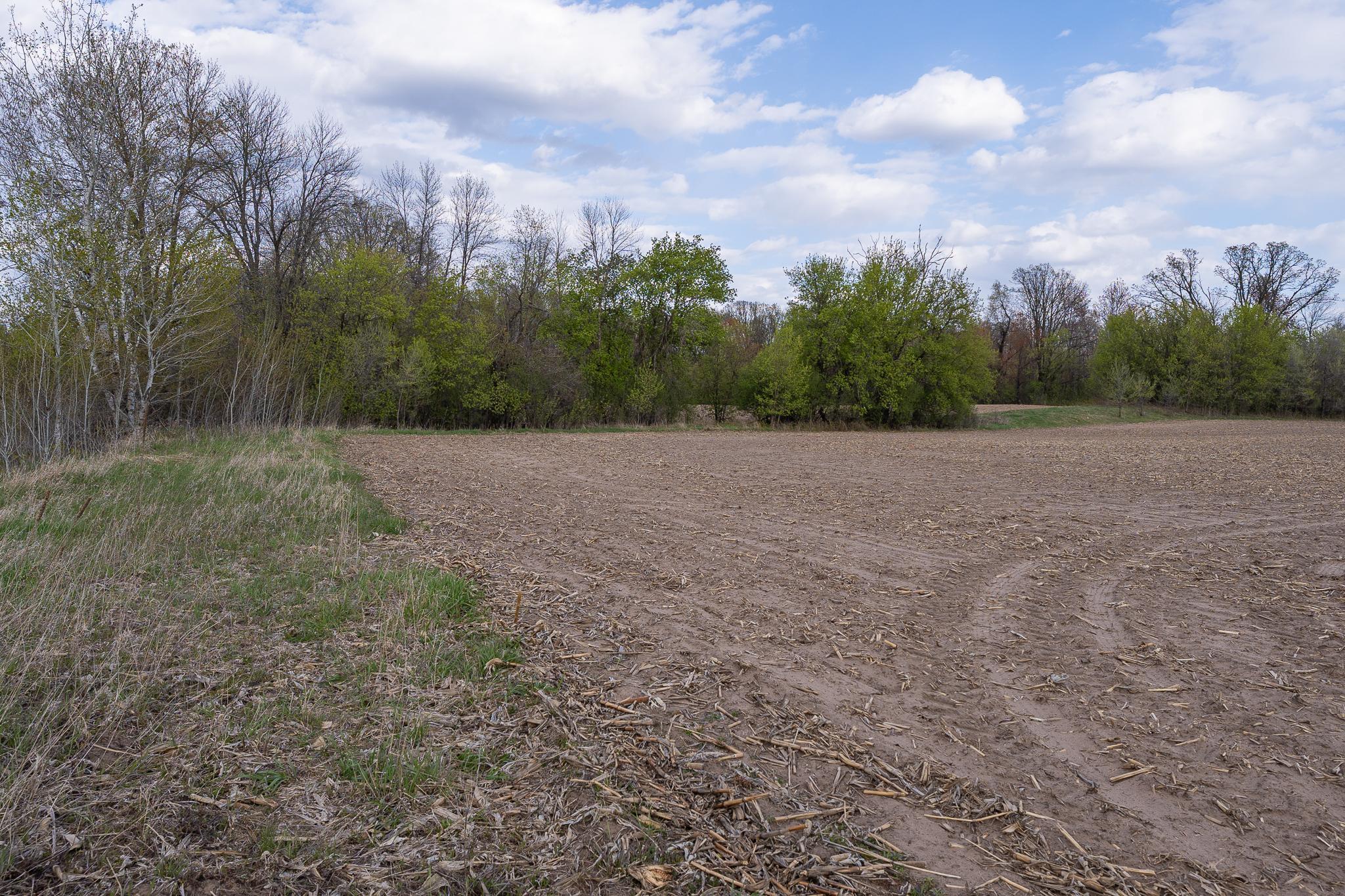 View of Land at Parcel A - 20AC 465th Street, Sunrise Twp MN 55032, Sunrise Twp (18 of 38) - Mike Wilen | Minnesota Team Real Estate