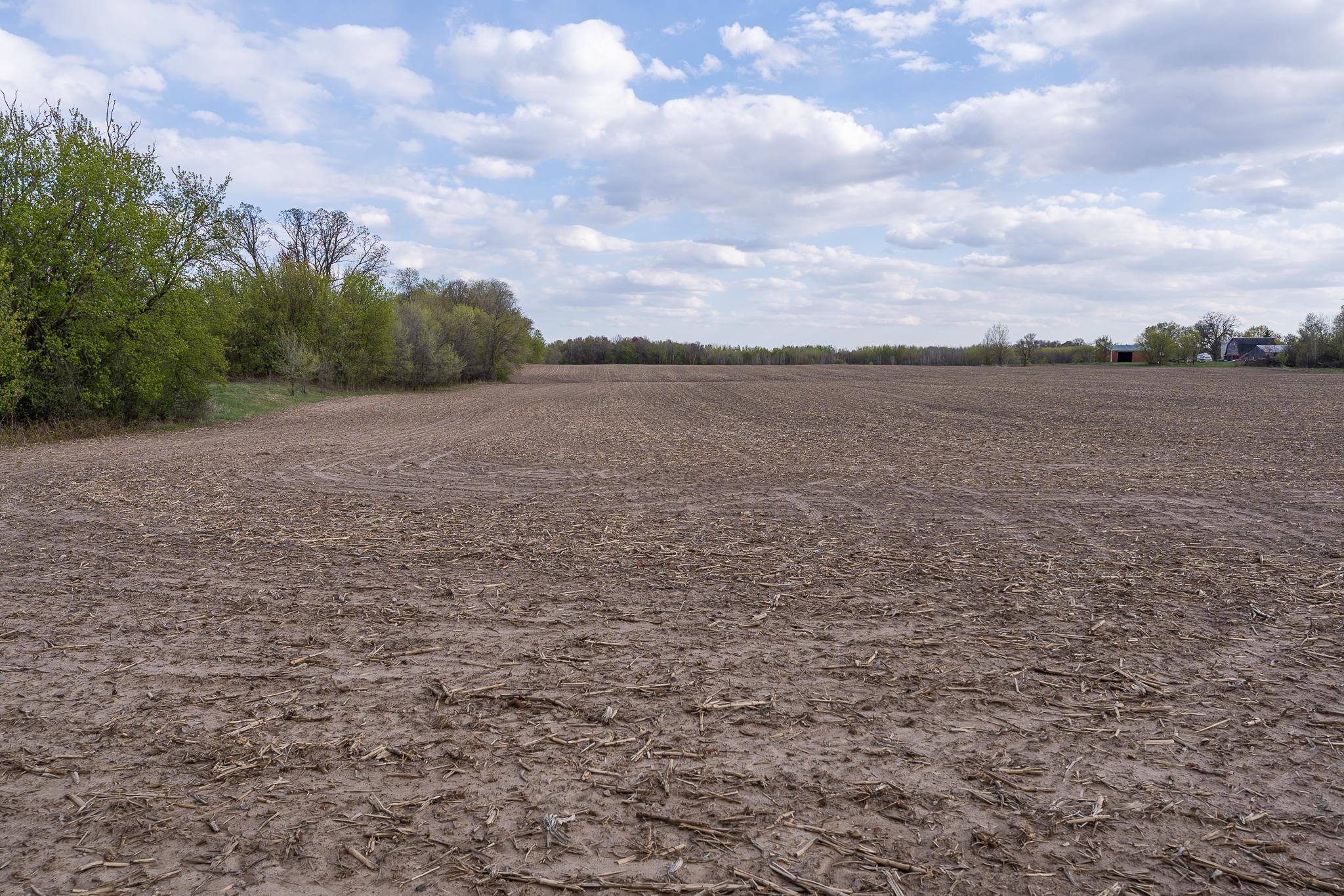 View of Land at Parcel A - 20AC 465th Street, Sunrise Twp MN 55032, Sunrise Twp (36 of 38) - Mike Wilen | Minnesota Team Real Estate