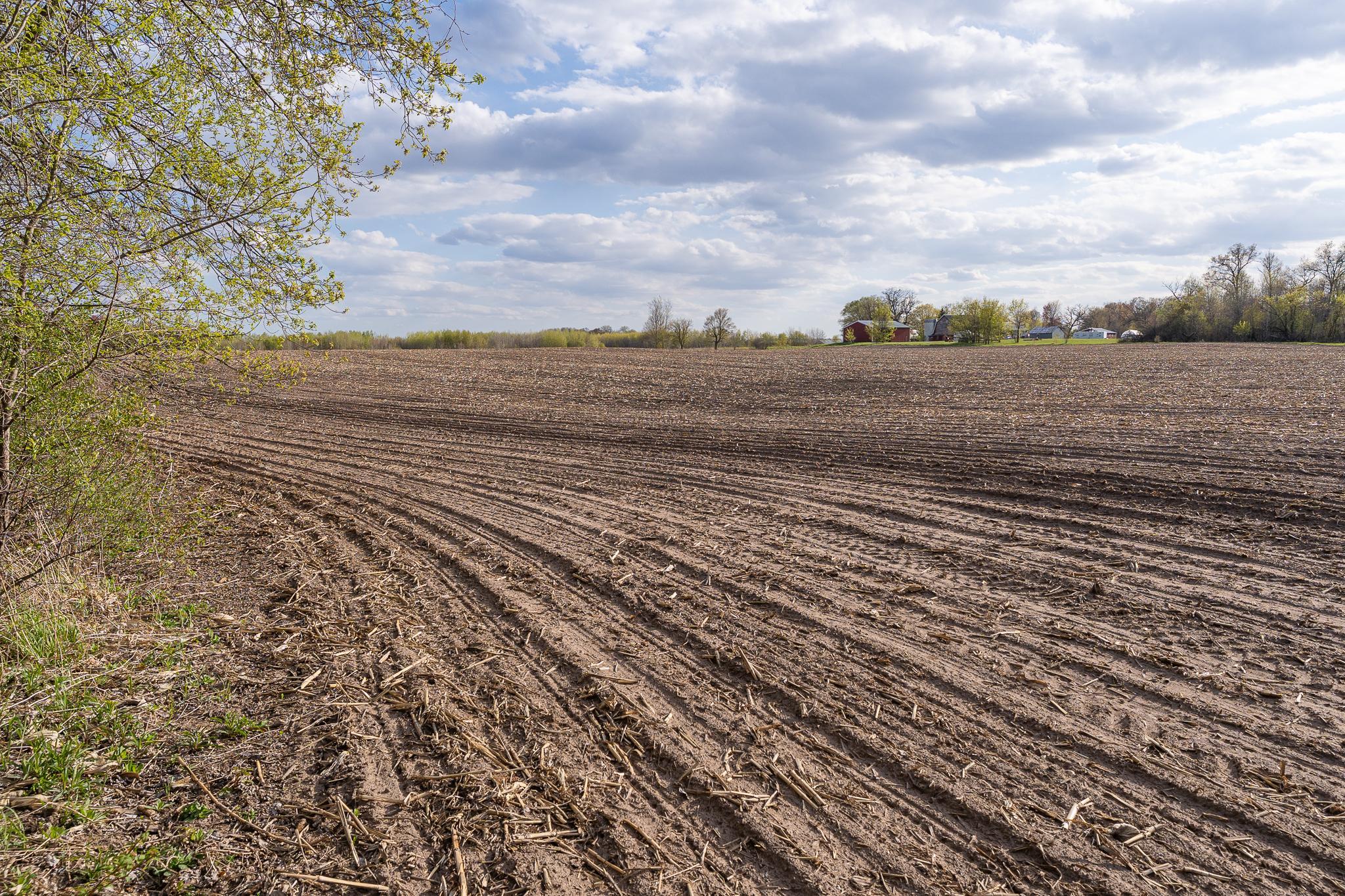 View of Land at Parcel A - 20AC 465th Street, Sunrise Twp MN 55032, Sunrise Twp (33 of 38) - Mike Wilen | Minnesota Team Real Estate