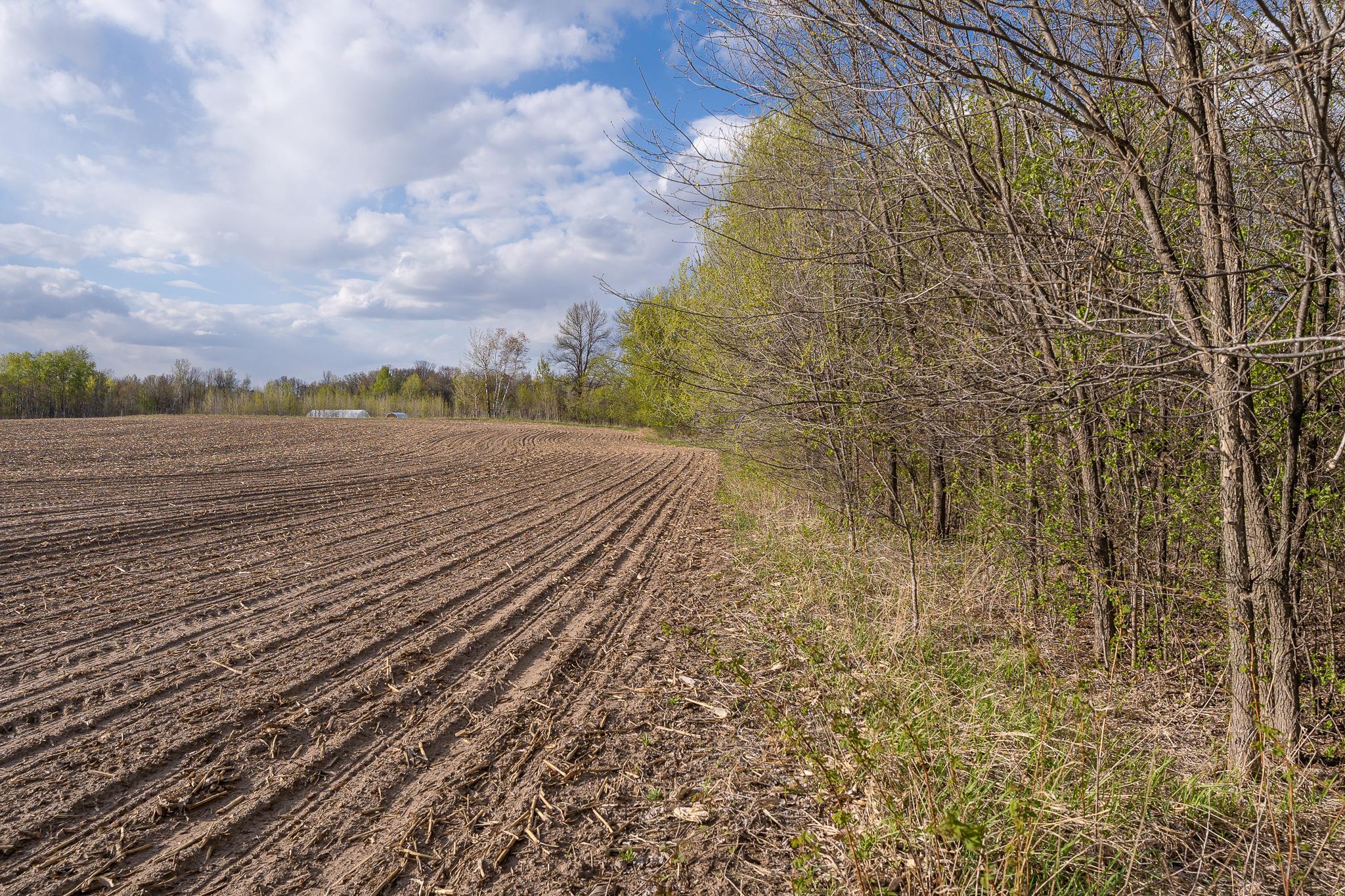 View of Land at Parcel A - 20AC 465th Street, Sunrise Twp MN 55032, Sunrise Twp (8 of 38) - Mike Wilen | Minnesota Team Real Estate