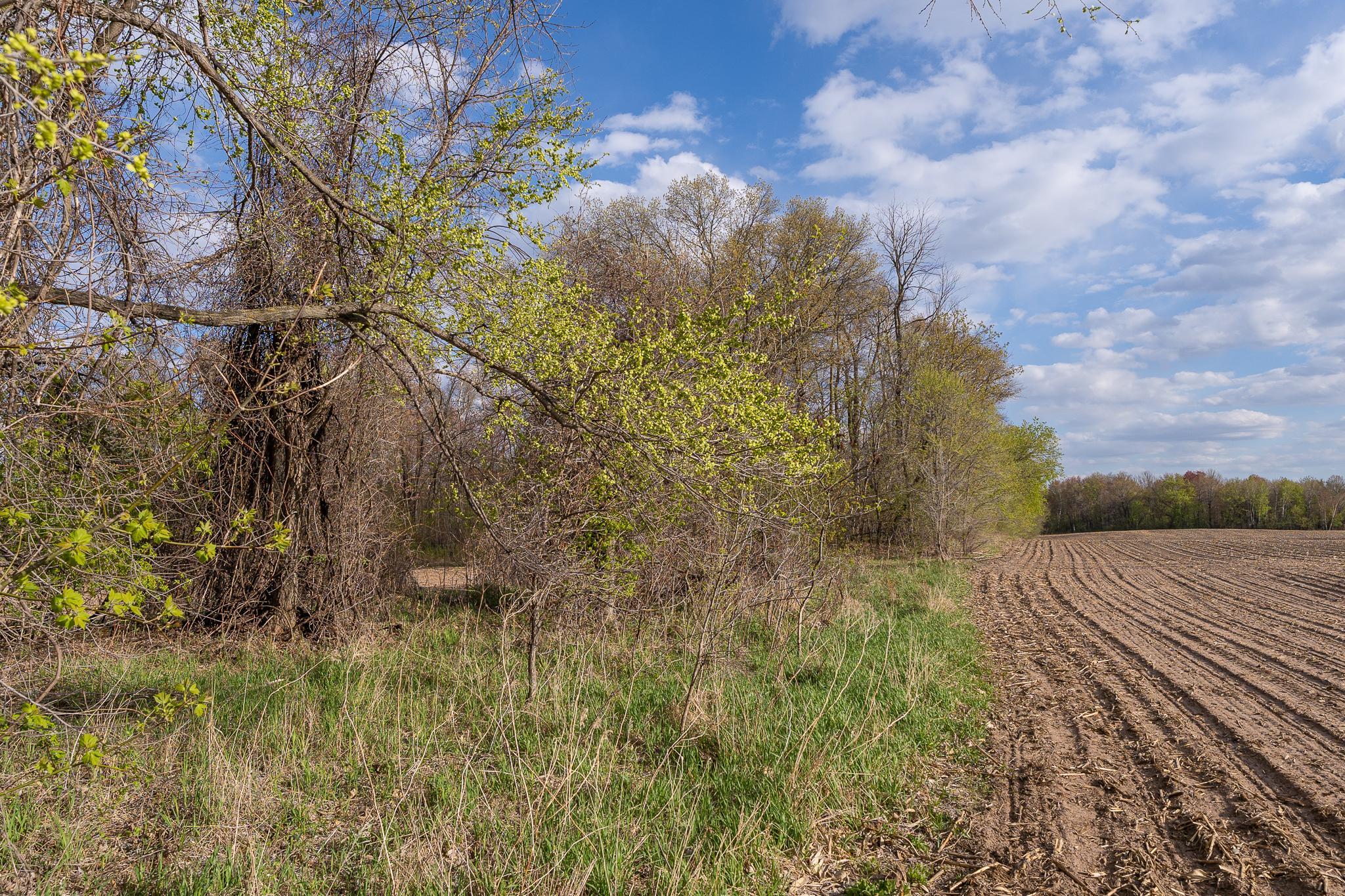 View of Land at Parcel A - 20AC 465th Street, Sunrise Twp MN 55032, Sunrise Twp (28 of 38) - Mike Wilen | Minnesota Team Real Estate