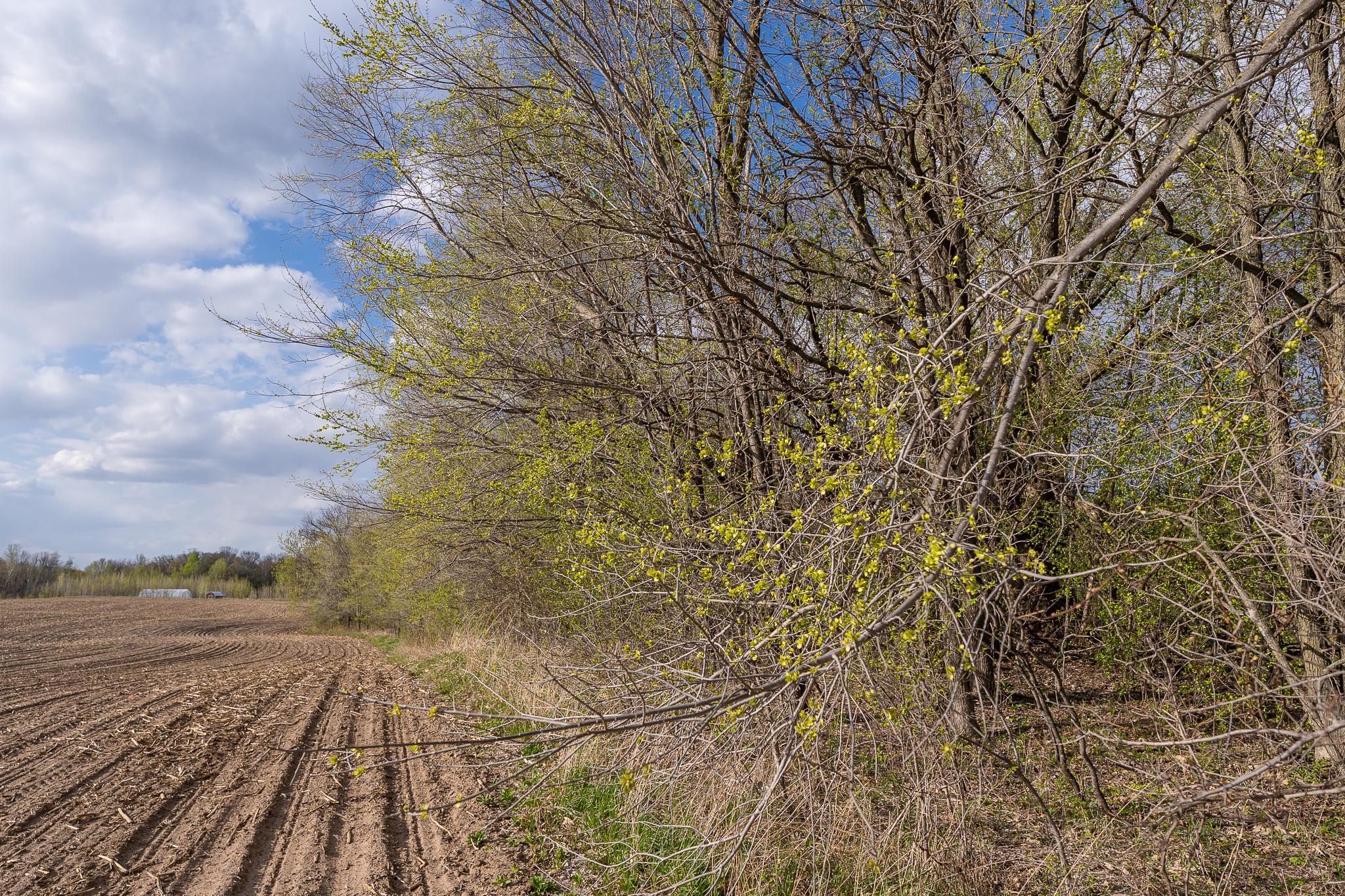 View of Land at Parcel A - 20AC 465th Street, Sunrise Twp MN 55032, Sunrise Twp (16 of 38) - Mike Wilen | Minnesota Team Real Estate