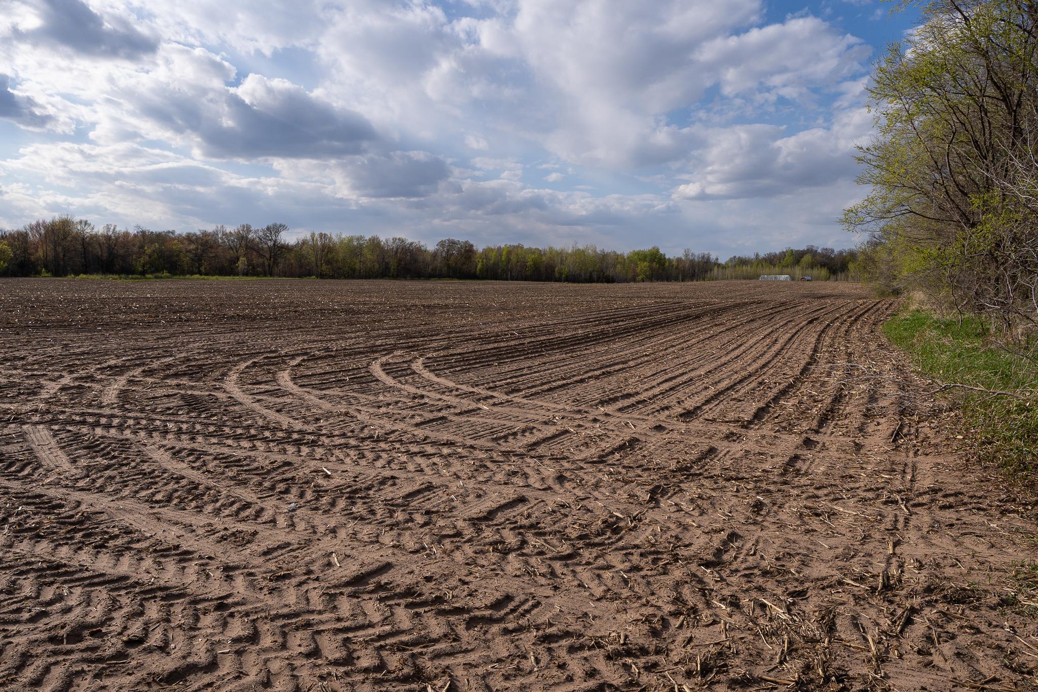 View of Land at Parcel A - 20AC 465th Street, Sunrise Twp MN 55032, Sunrise Twp (31 of 38) - Mike Wilen | Minnesota Team Real Estate