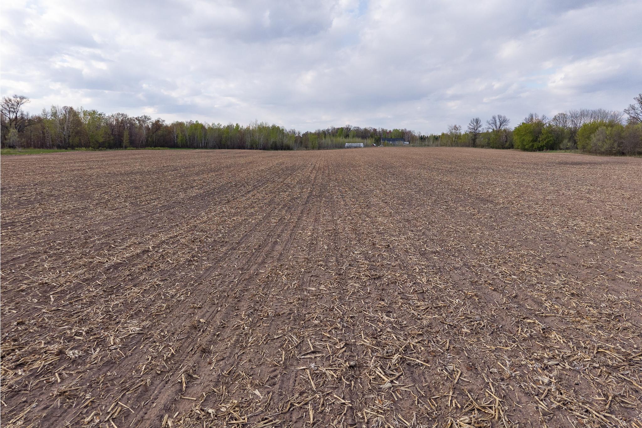 View of Land at Parcel A - 20AC 465th Street, Sunrise Twp MN 55032, Sunrise Twp (27 of 38) - Mike Wilen | Minnesota Team Real Estate