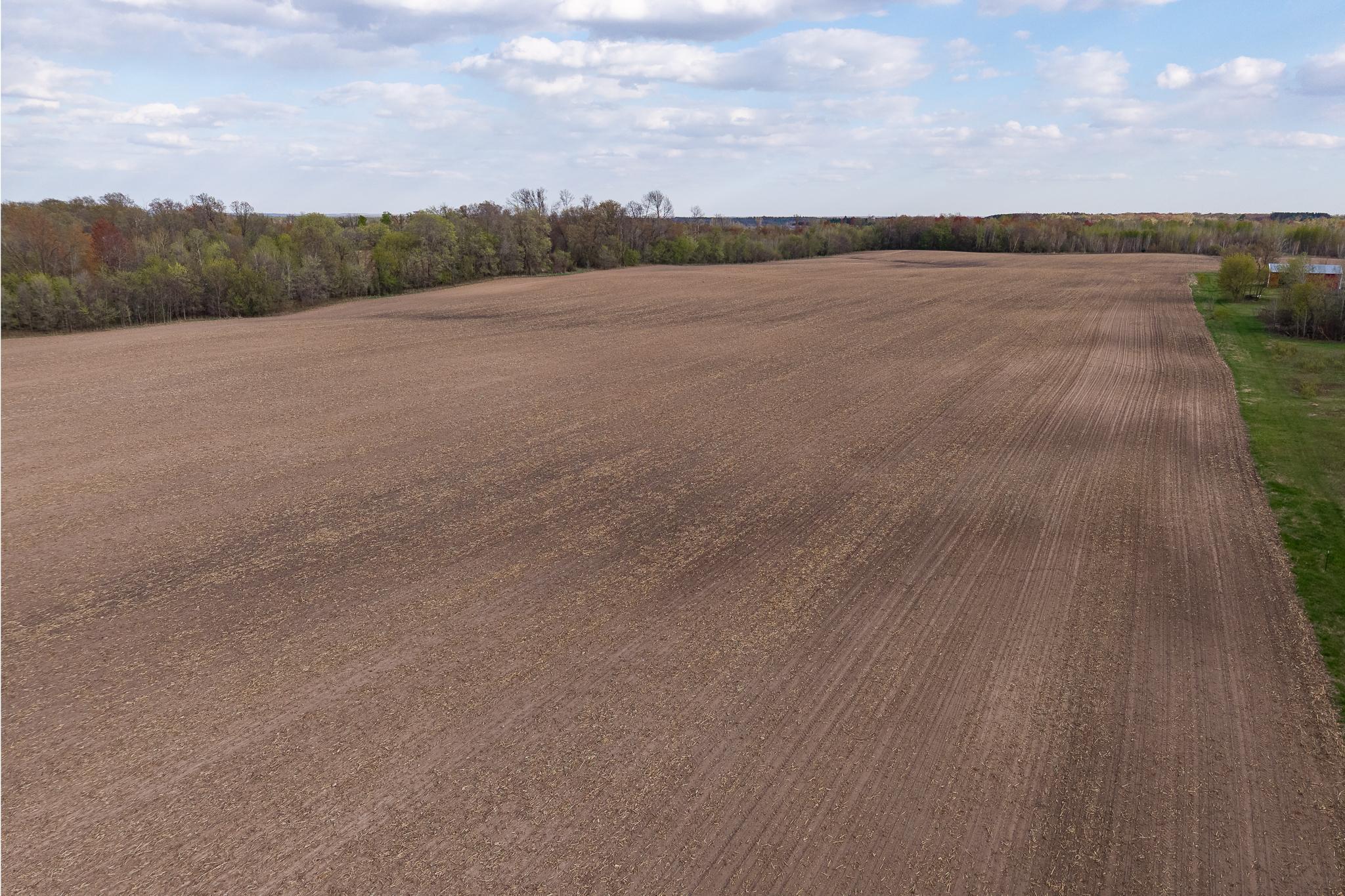 View of Land at Parcel A - 20AC 465th Street, Sunrise Twp MN 55032, Sunrise Twp (25 of 38) - Mike Wilen | Minnesota Team Real Estate