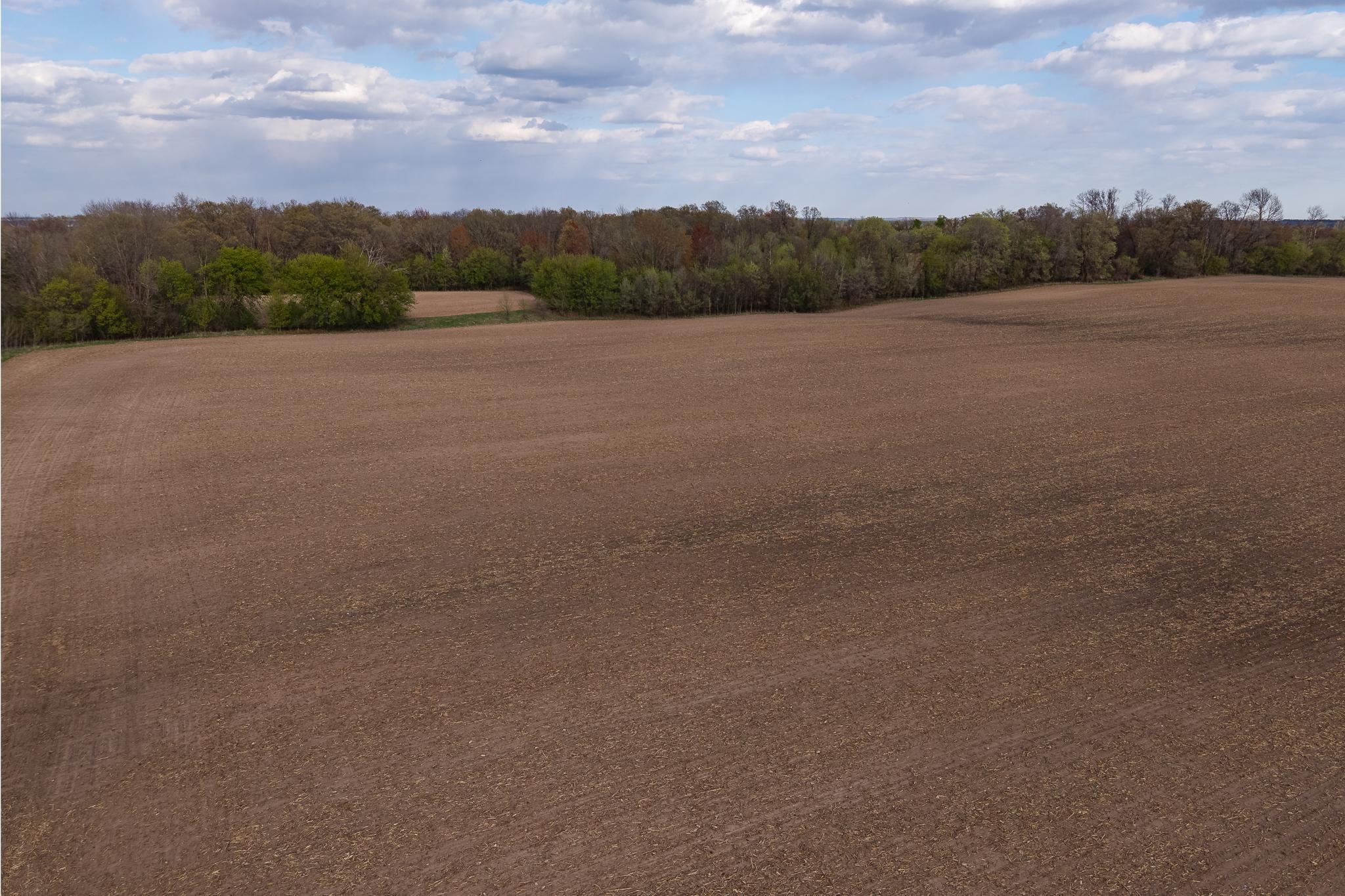 View of Land at Parcel A - 20AC 465th Street, Sunrise Twp MN 55032, Sunrise Twp (23 of 38) - Mike Wilen | Minnesota Team Real Estate