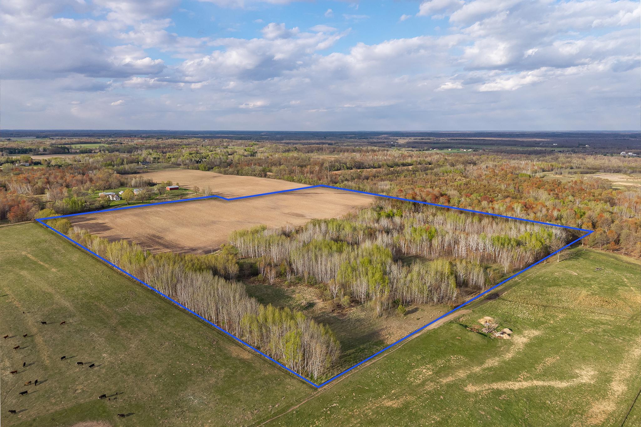View of Land at TBD-38AC 465th Street, Sunrise Twp MN 55032, Sunrise Twp (54 of 54) - Mike Wilen | Minnesota Team Real Estate