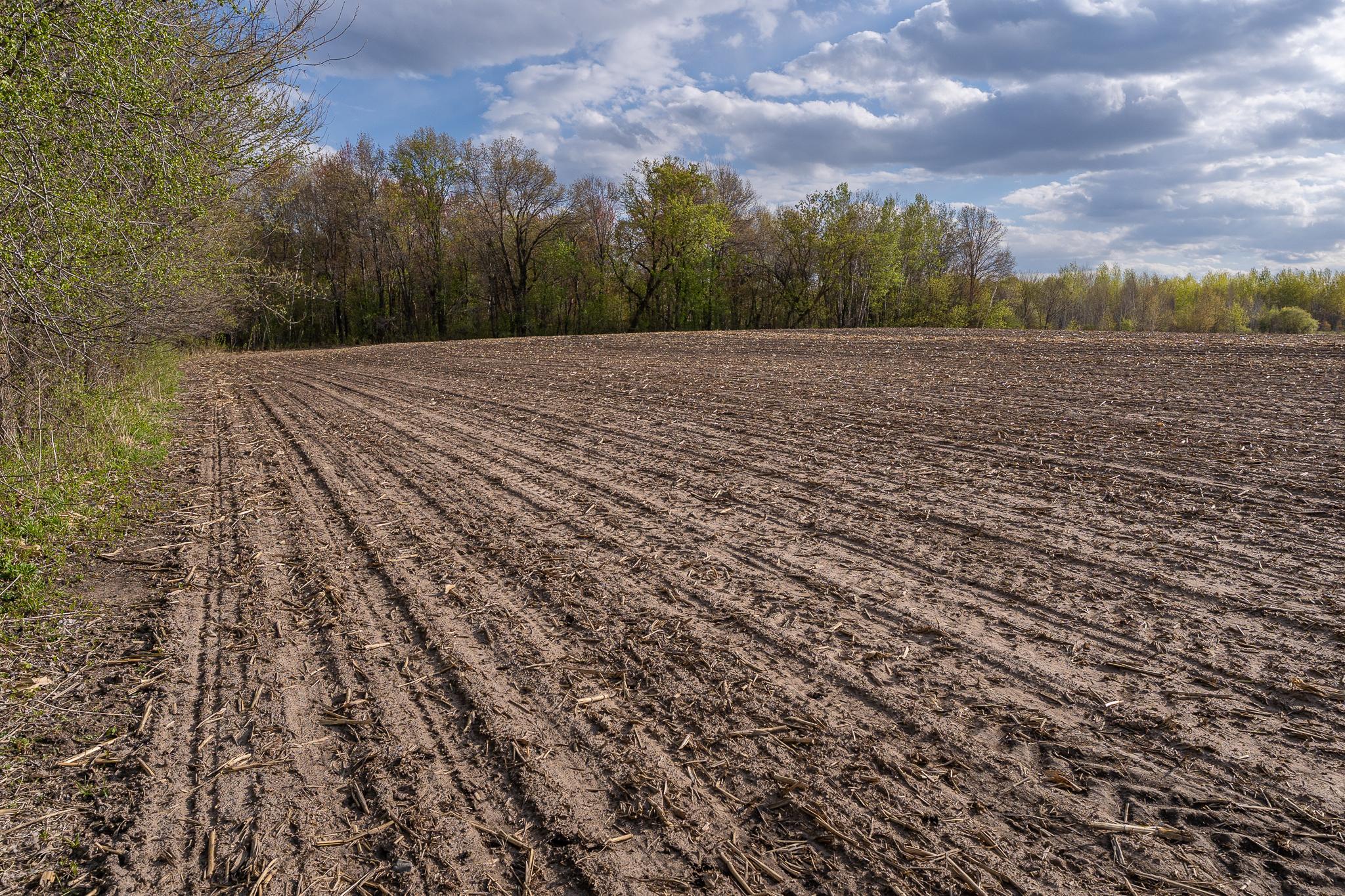View of Land at TBD-38AC 465th Street, Sunrise Twp MN 55032, Sunrise Twp (53 of 54) - Mike Wilen | Minnesota Team Real Estate
