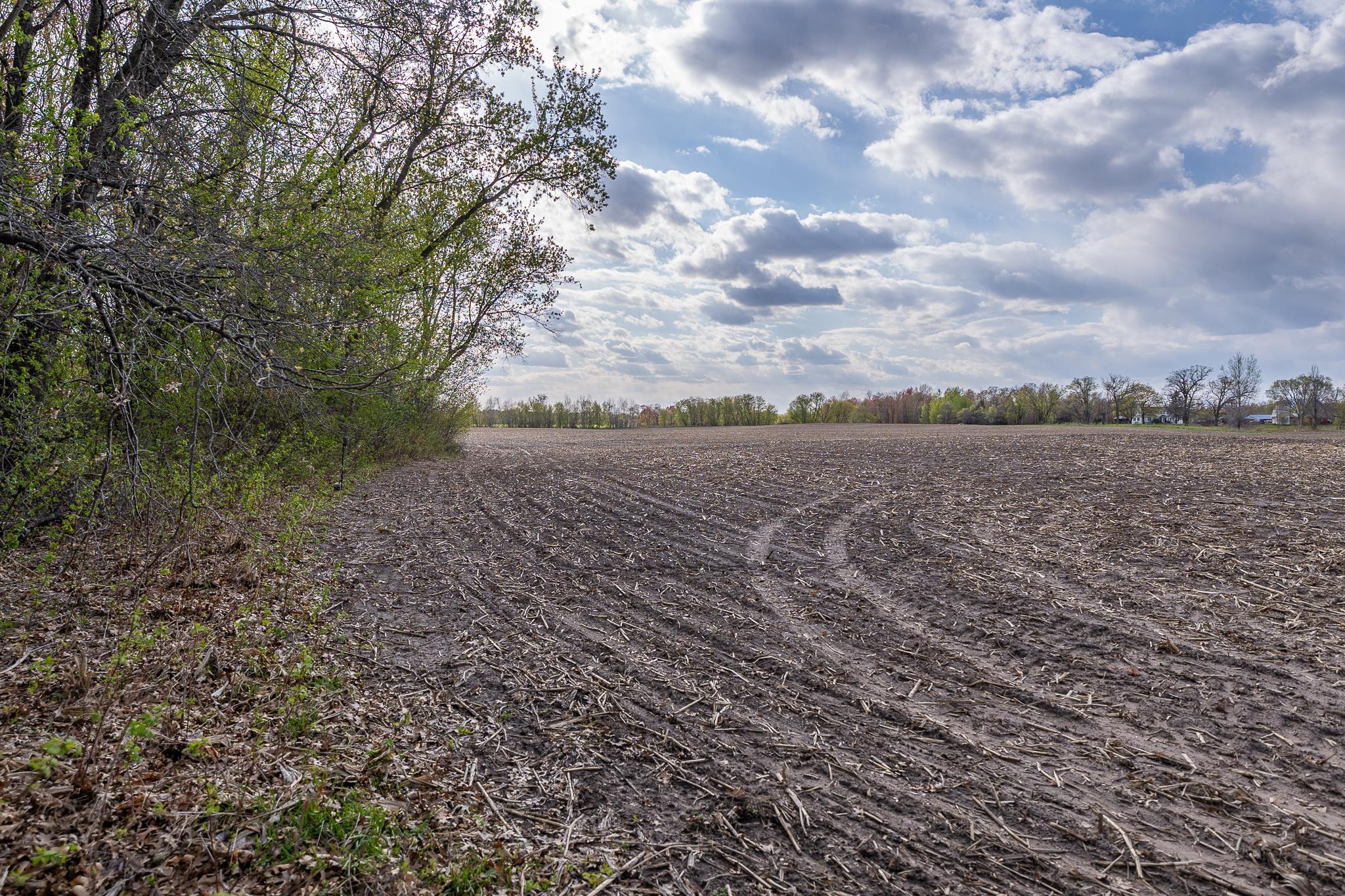View of Land at TBD-38AC 465th Street, Sunrise Twp MN 55032, Sunrise Twp (52 of 54) - Mike Wilen | Minnesota Team Real Estate