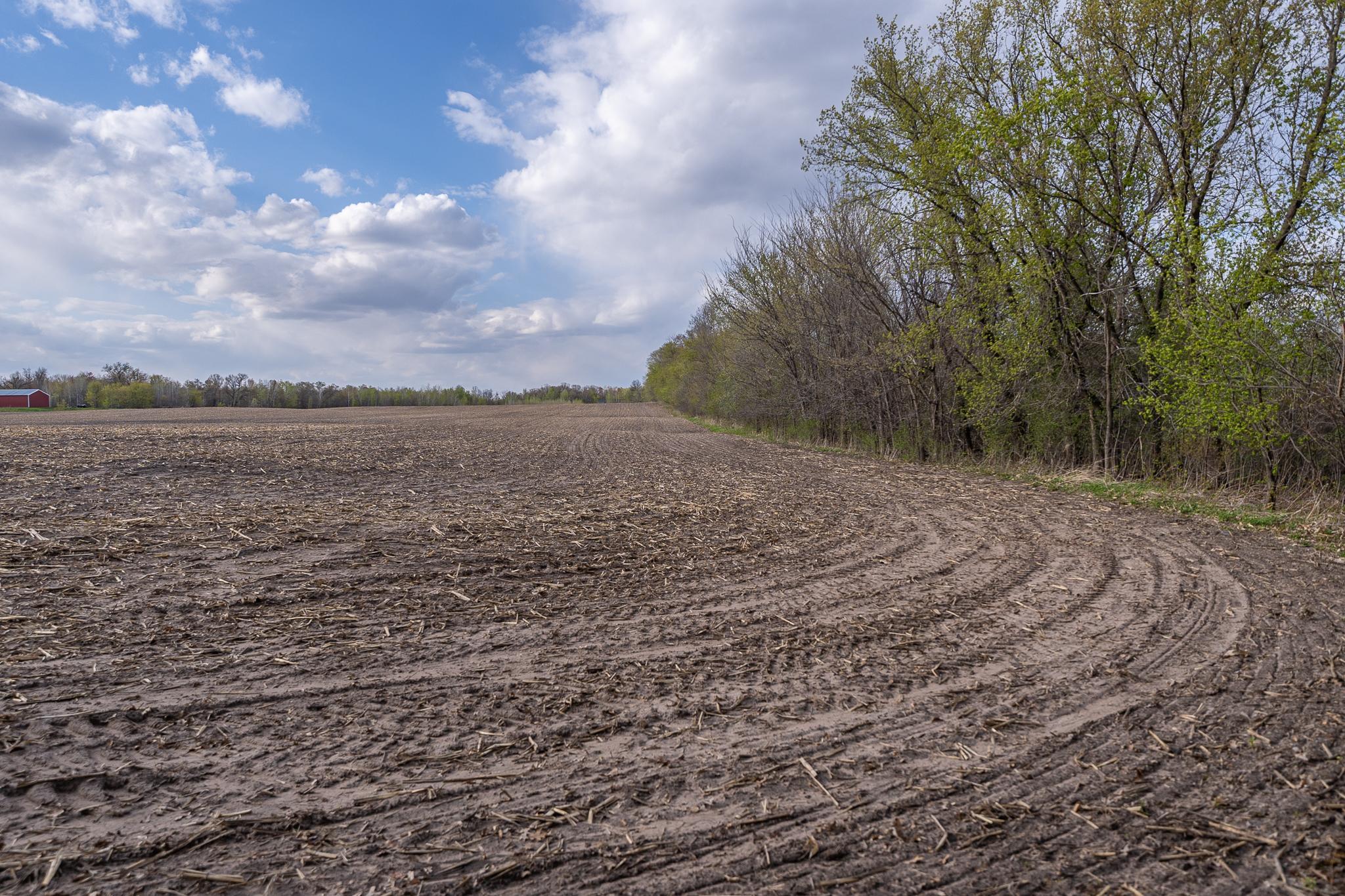 View of Land at TBD-38AC 465th Street, Sunrise Twp MN 55032, Sunrise Twp (50 of 54) - Mike Wilen | Minnesota Team Real Estate