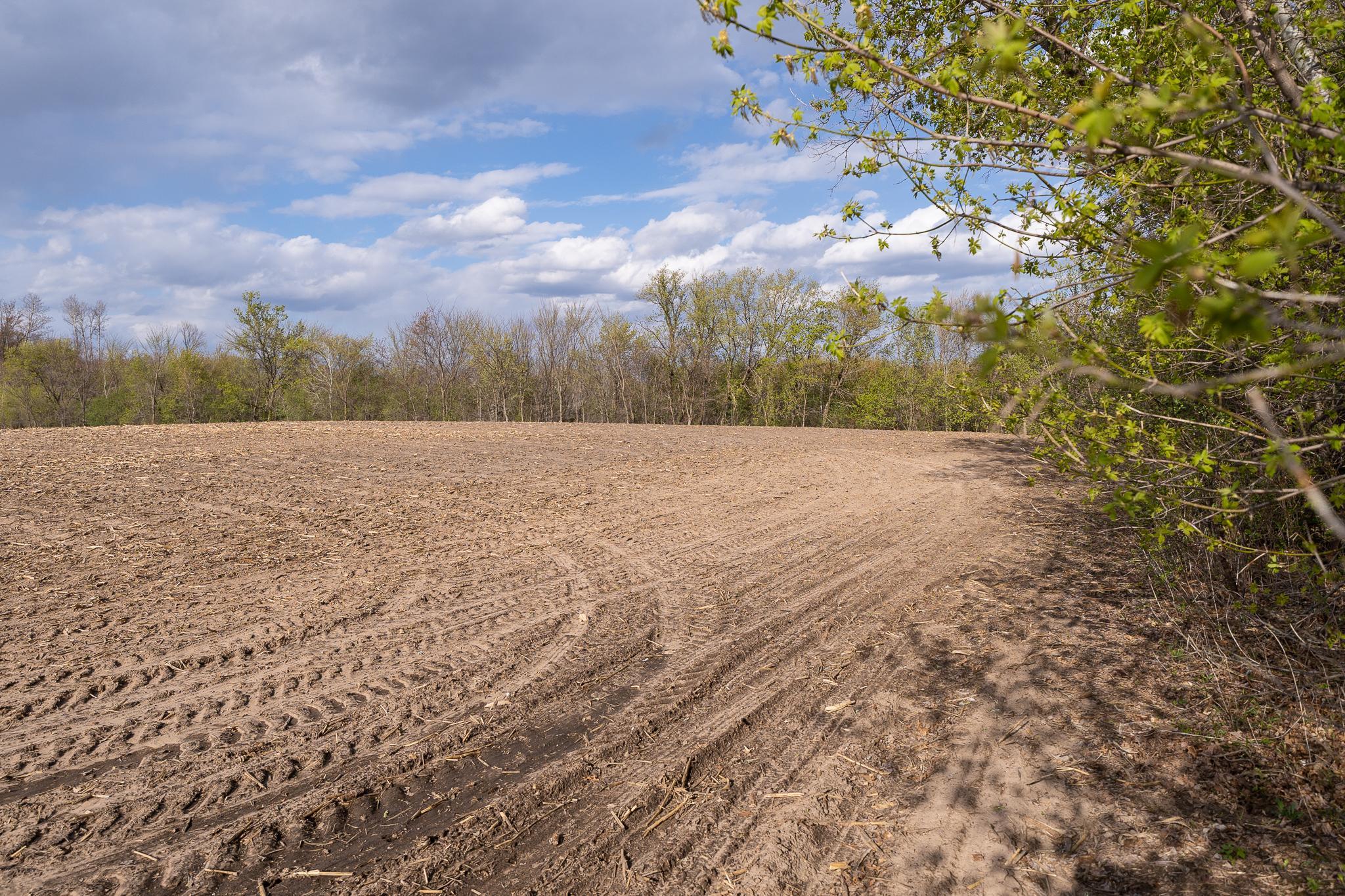 View of Land at TBD-38AC 465th Street, Sunrise Twp MN 55032, Sunrise Twp (47 of 54) - Mike Wilen | Minnesota Team Real Estate
