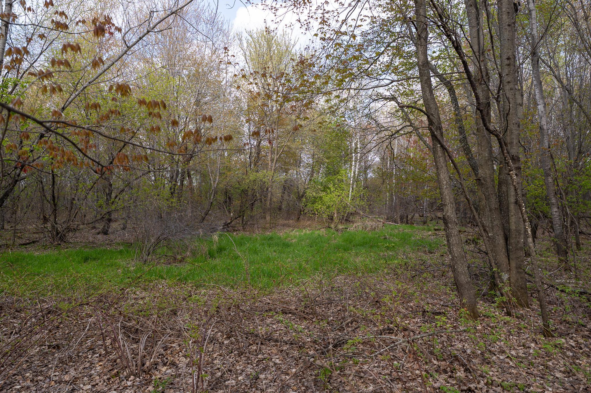 View of Land at TBD-38AC 465th Street, Sunrise Twp MN 55032, Sunrise Twp (23 of 54) - Mike Wilen | Minnesota Team Real Estate