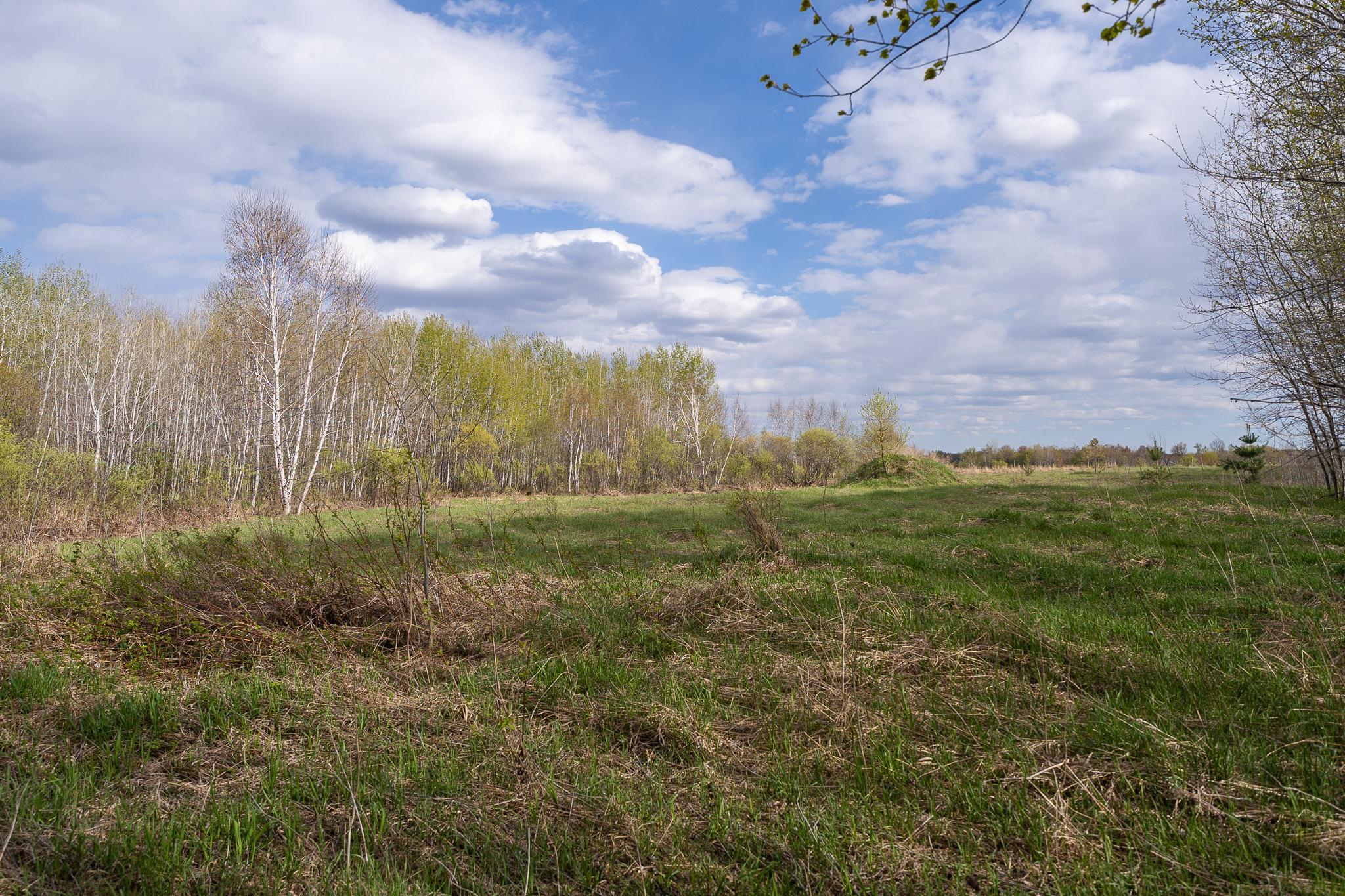 View of Land at TBD-38AC 465th Street, Sunrise Twp MN 55032, Sunrise Twp (35 of 54) - Mike Wilen | Minnesota Team Real Estate