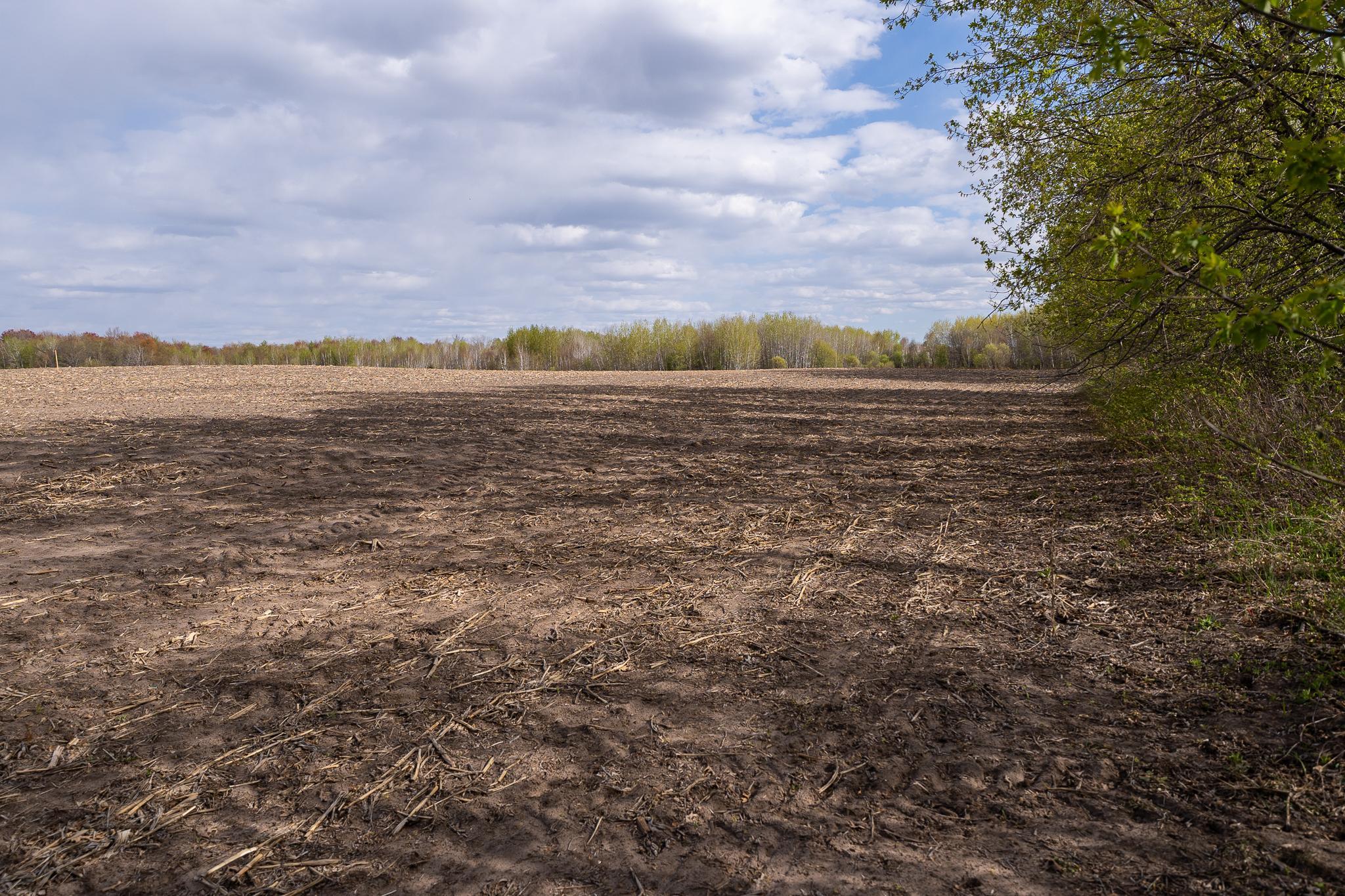 View of Land at TBD-38AC 465th Street, Sunrise Twp MN 55032, Sunrise Twp (33 of 54) - Mike Wilen | Minnesota Team Real Estate
